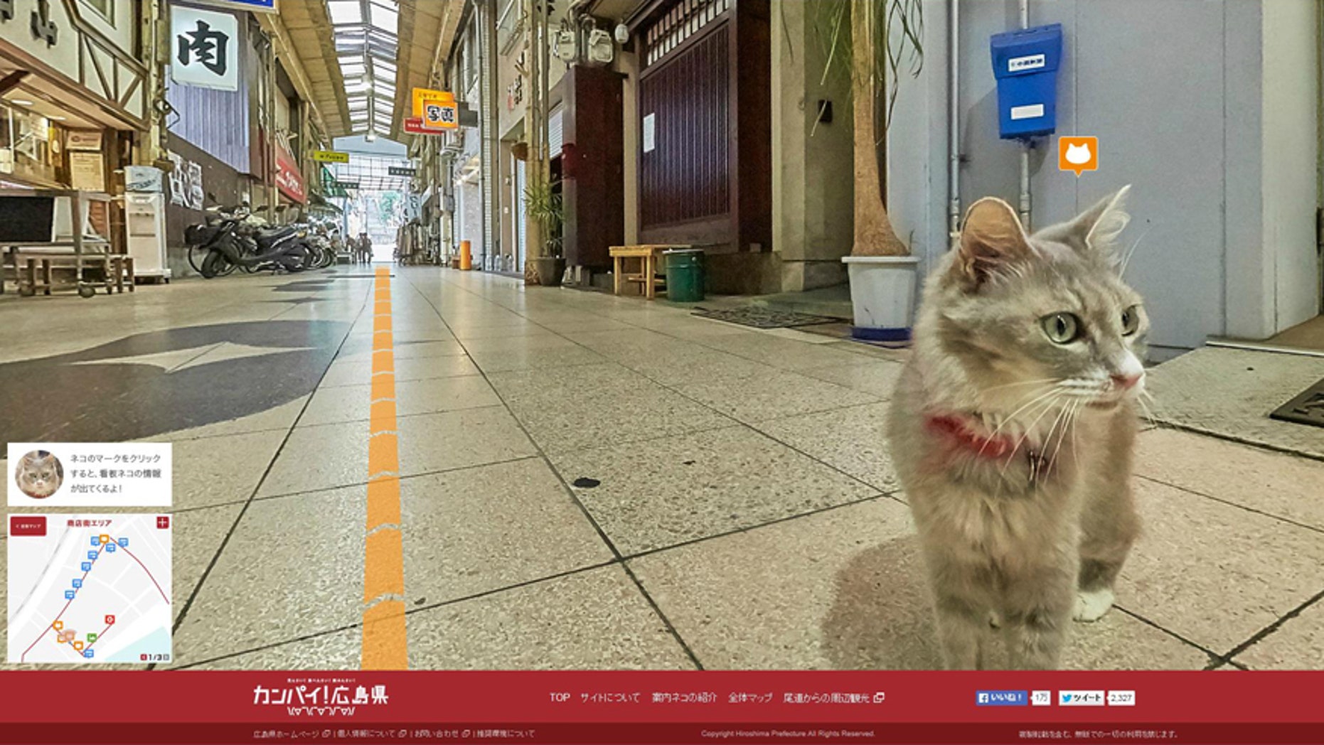 Screenshot of http://hiroshima-welcome.jp/kanpai/catstreetview