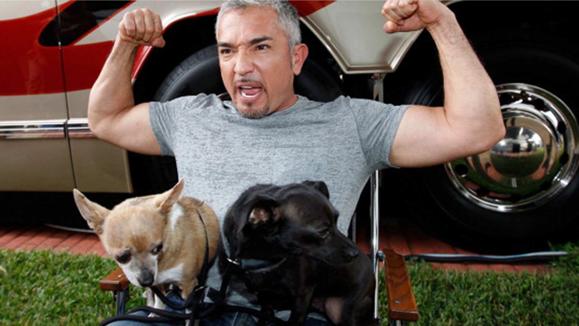 Cesar Millan on February 17, 2012 in Daytona Beach, Florida.