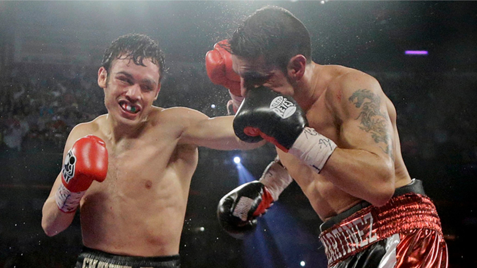 FILE - In this Sept. 15, 2012, file photo, Julio Cesar Chavez Jr., left, lands a punch against Sergio Martinez during the 12th round of their WBC middleweight title fight in Las Vegas. Chavez was suspended for nine months and fined $900,000 by the Nevada State Athletic Commission on Thursday, Feb. 28, 2013, over a failed drug test last year. The 26-year-old Mexican fighter tested positive for marijuana in September after his loss to Martinez. (AP Photo/Julie Jacobson, File)