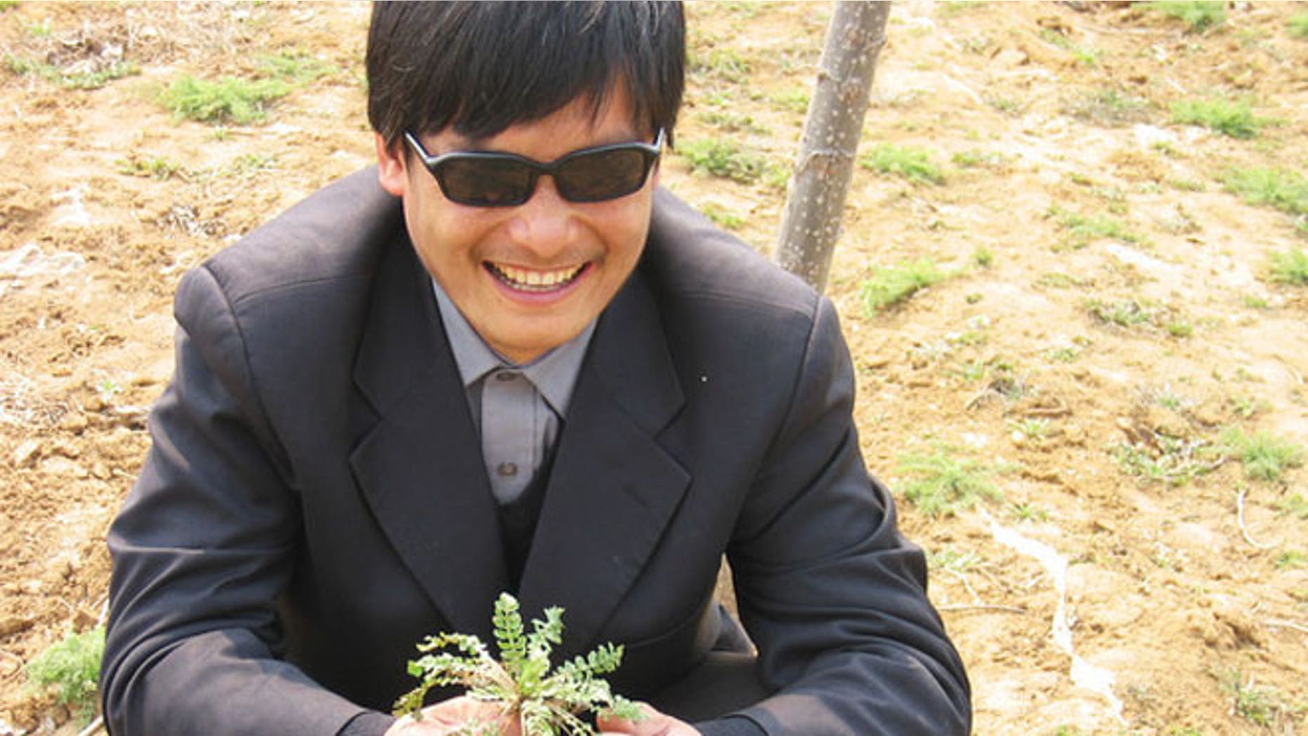 This undated photo provided by the China Aid Association shows blind Chinese legal activist Chen Guangchen in Shandong province, China. Chen, a well-known dissident who angered authorities in rural China by exposing forced abortions, made a surprise escape from house arrest on April 22, 2012, into what activists say is the protection of U.S. diplomats in Beijing, posing a delicate diplomatic crisis for both governments.