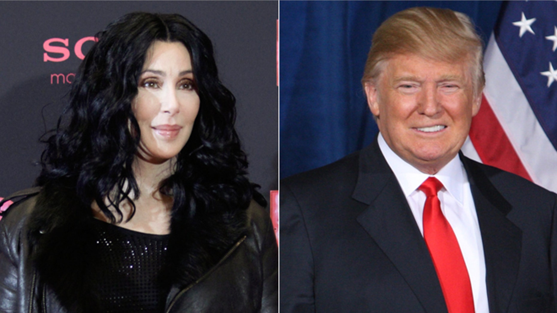 Cher and Donald Trump got into a Twitter war when she referred to his hair as "his rug."