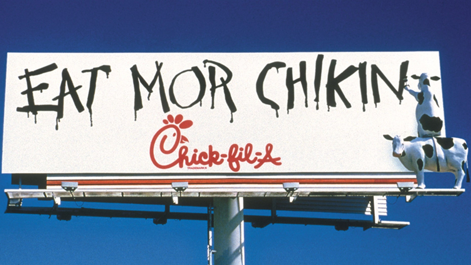 The Hallsville High School Bobcat Belles dance team decided to pay tribute to the iconic Chick-fil-A cow mascot by having each member of the dance troupe wear a cow costume in a now viral video.