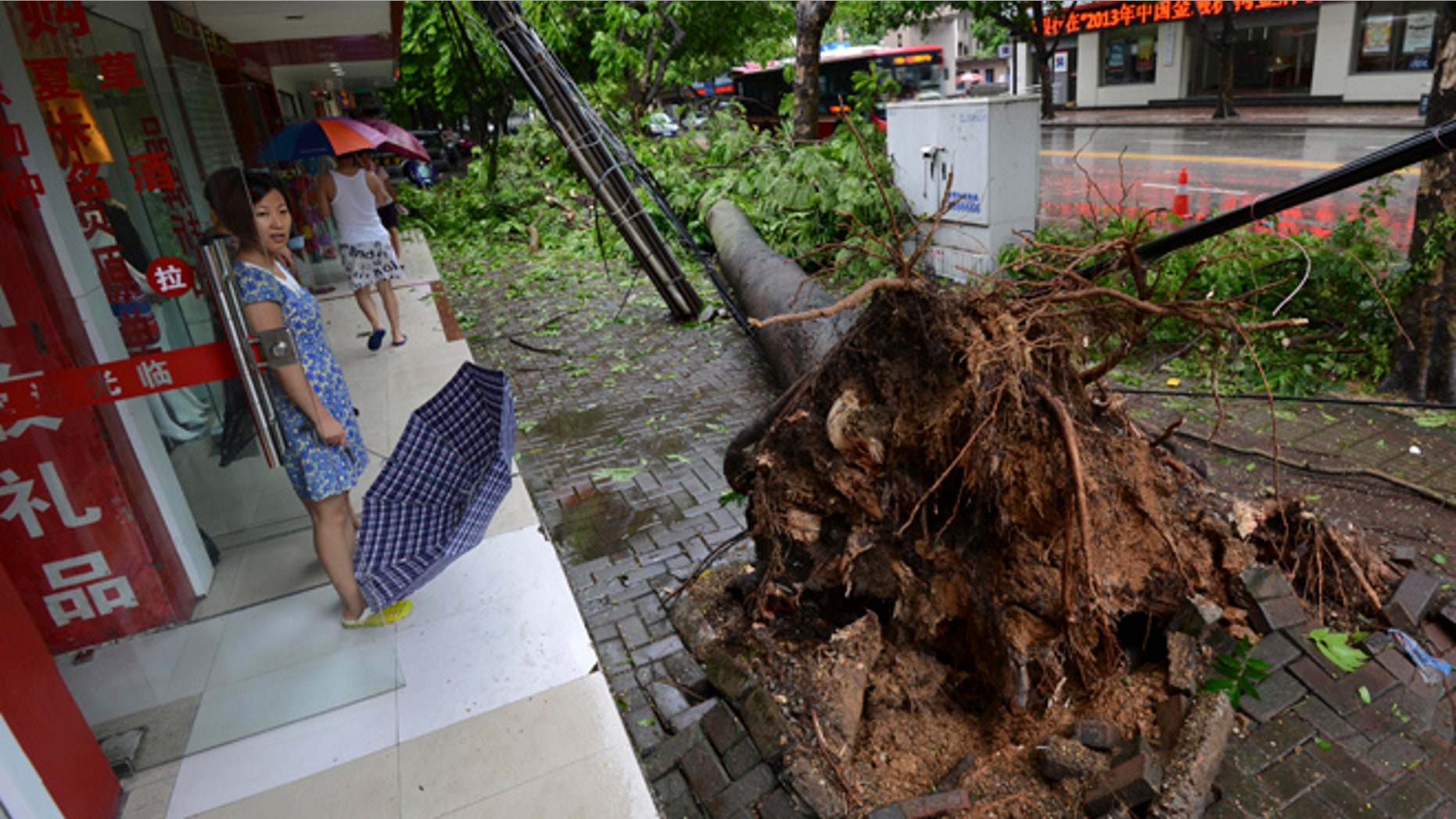 July 19, 2014: In this photo, a woman looks at a tree uprooted by Typhoon Rammasun in Nanning in south China's Guangxi Zhuang Autonomous Region. (AP)