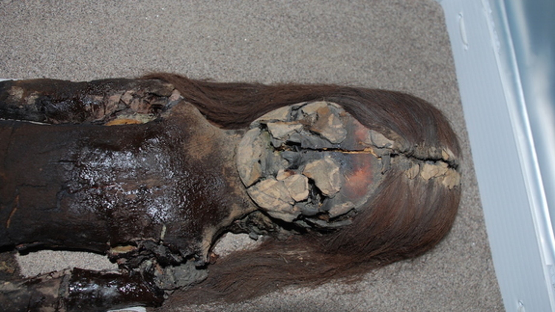 The black chest of this Chinchorro mummy shows signs of degradation, even though it is housed at the University of Tarapacá’s archeological museum in Arica, Chile.