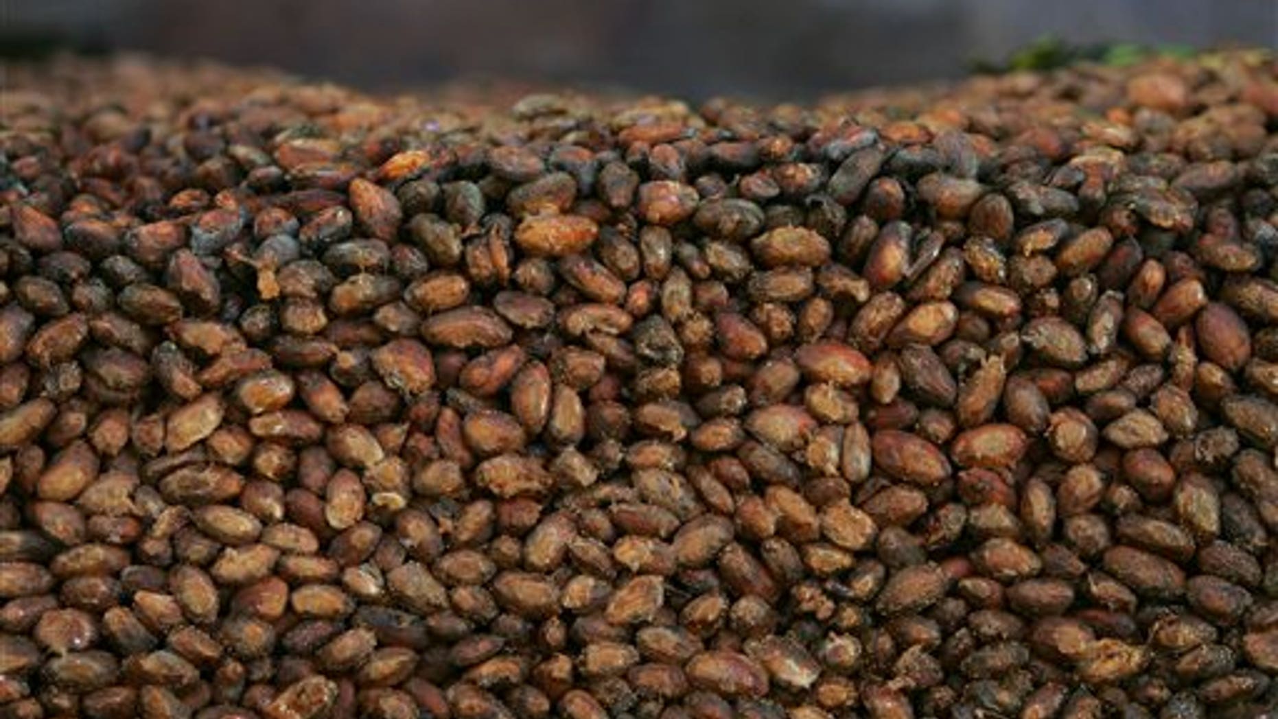File - This Thursday, Nov. 24, 2005 file photo shows organic cocoa beans.