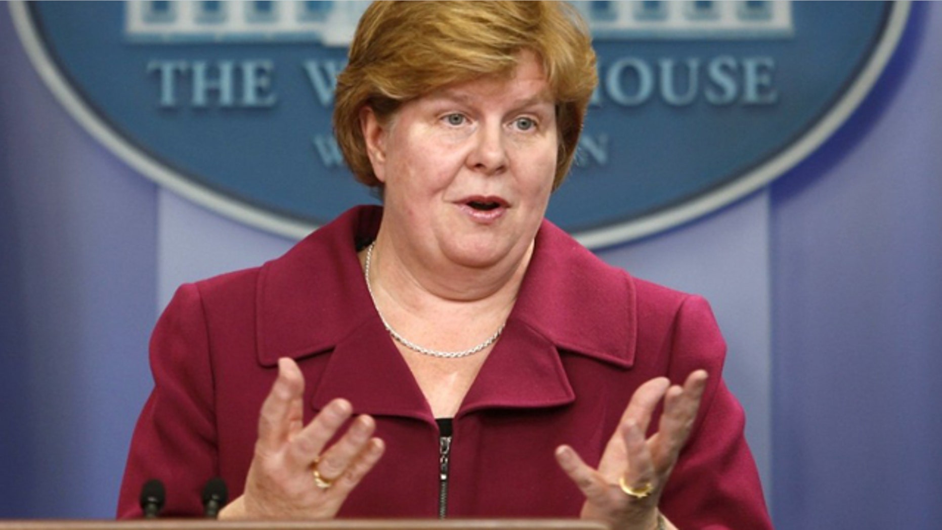 Christina Romer, seen in this February 2010 file photo, plans to step down in September as chairwoman of President Obama's Council of Economic Advisers.