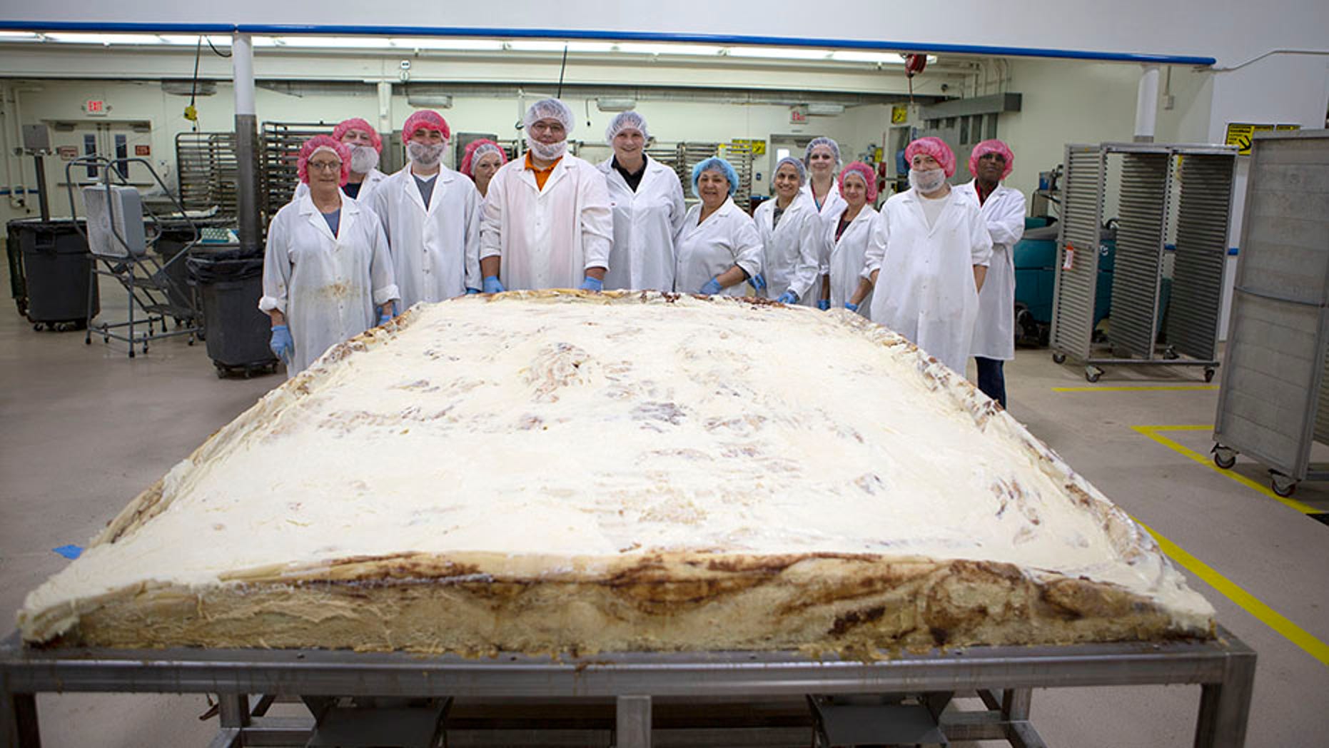 The massive treat weighs more than the average adult moose.