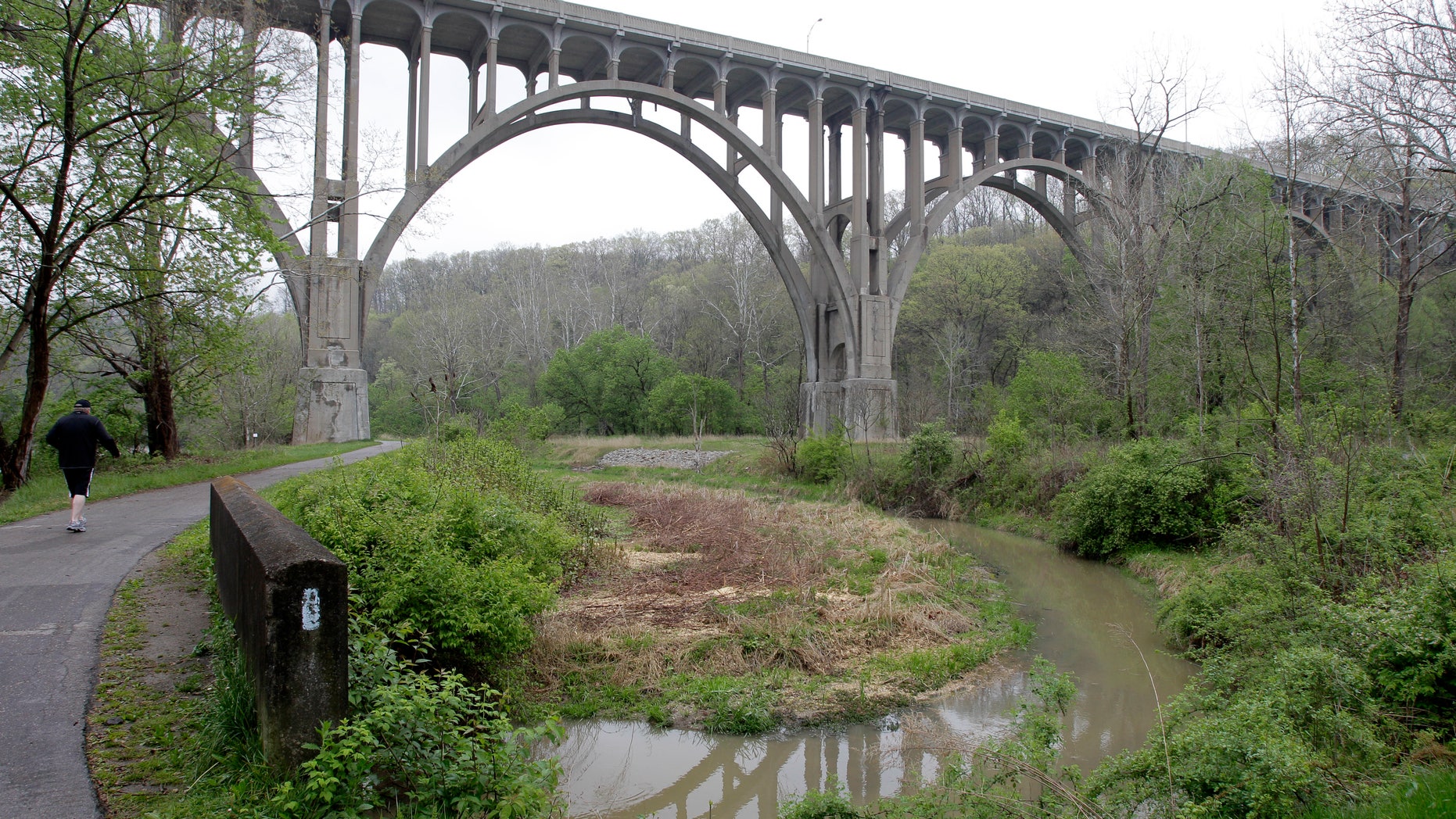 Five men from the Occupy Cleveland movement have been arrested for conspiring to blow up the Brecksville-Northfield High Level bridge over the Cuyahoga River valley, but there was no danger to the public because the explosives were inoperable and were controlled by an undercover FBI employee, the agency said Tuesday in announcing the men's arrests. (AP Photo/Amy Sancetta)