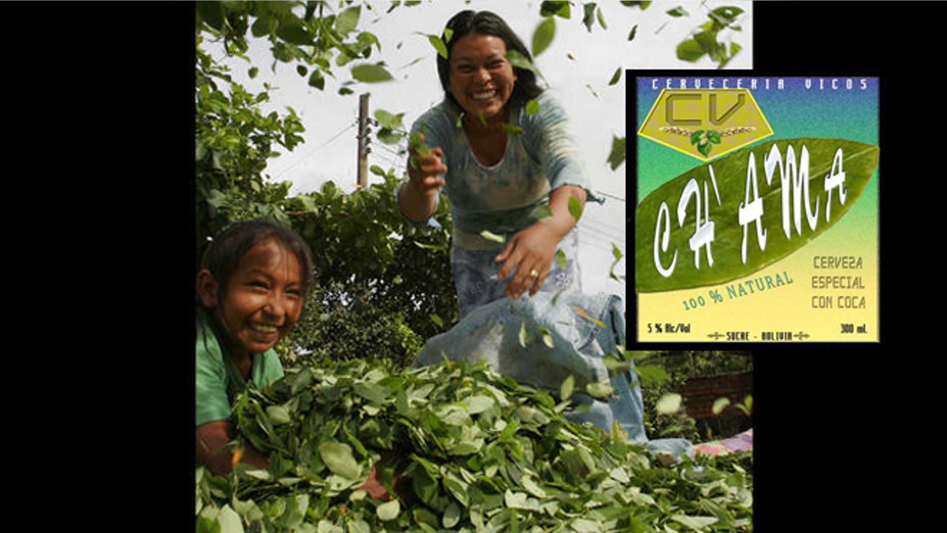 Bolivian coca farmer and her daughter put newly-cropped coca leaves to dry by the sun in the Villa 14 de Septiembre, nearly 124 miles east of Cochabamba, Bolivia.