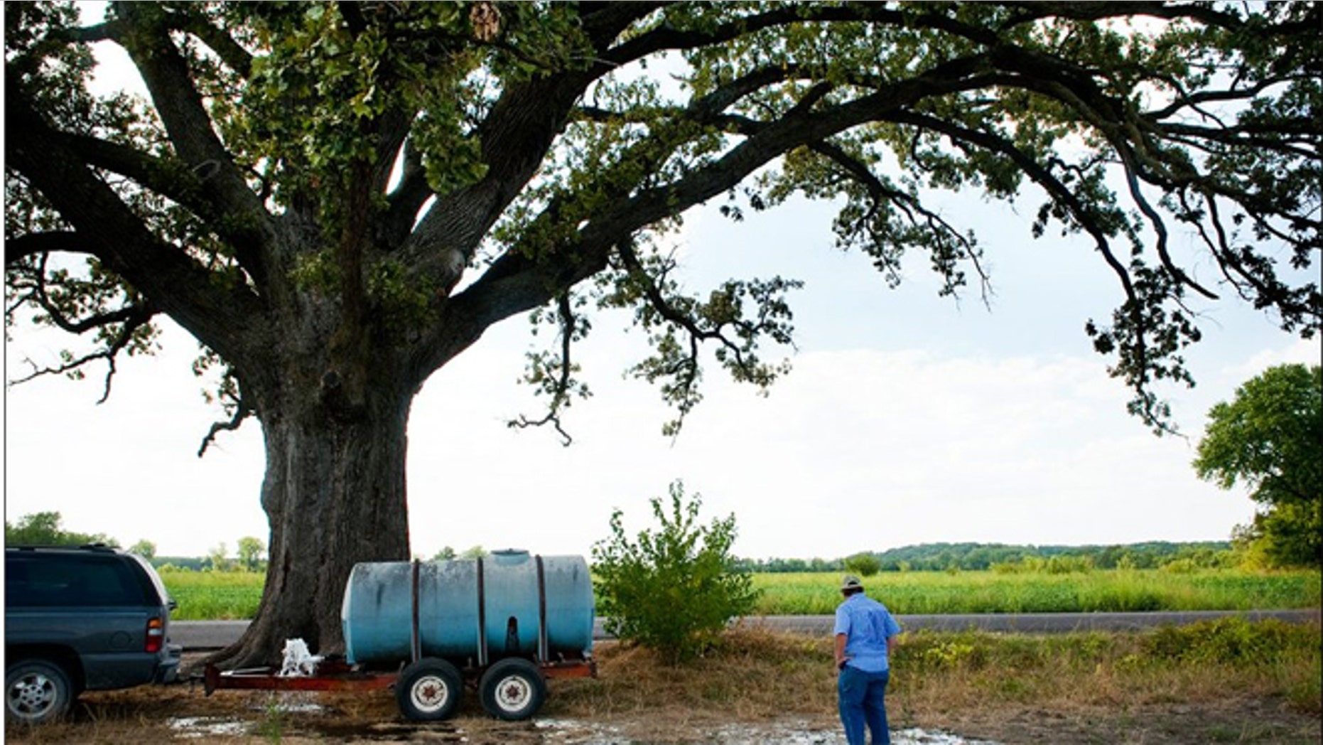 John Sam Williamson stands in front of the largest known bur oak tree anywhere. He told the Columbia Daily Tribune that he plans on watering the tree with 1,600 gallons each week for the next several weeks.