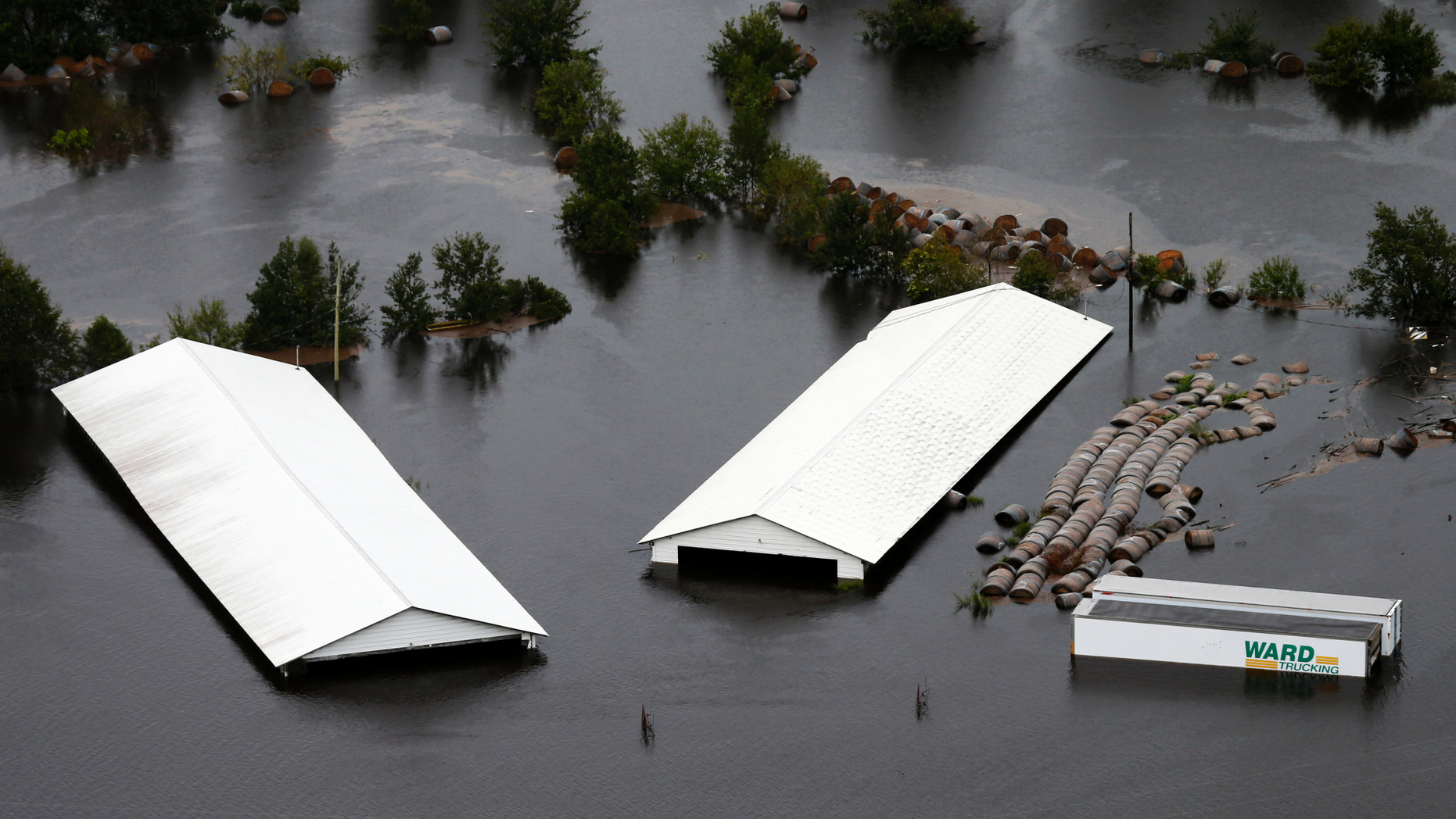 Farm buildings are inundated with floodwater from Hurricane Florence near Trenton, N.C., Sunday, Sept. 16, 2018. (AP Photo/Steve Helber)