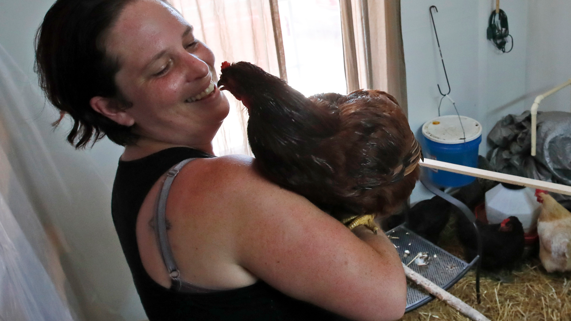 Grace Hoss holds her rooster inside an inclosure made in her neighbor's home to hold their combined chickens, Wednesday, Sept. 12, 2018, in Chesapeake, Va., as Hurricane Florence moves towards the eastern shore. (AP Photo/Alex Brandon)