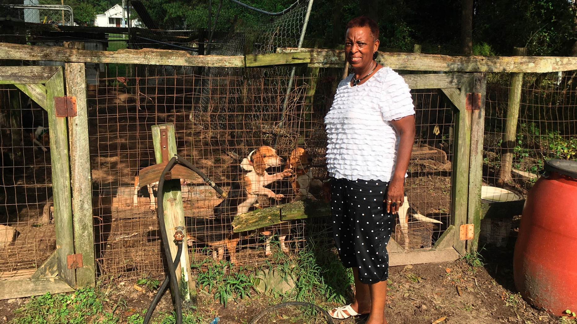 In this Sept. 18, 2018, photo, Marian Sutton checks on her deceased husband’s dogs in their backyard kennel near Kinston, N.C. Bennie Lee Sutton’s death was attributed to Hurricane Florence because he was outside with the dogs as the storm’s winds swirled across the area and suffered an apparent heart attack, his family said. (AP Photo/Emery P. Dalesio)