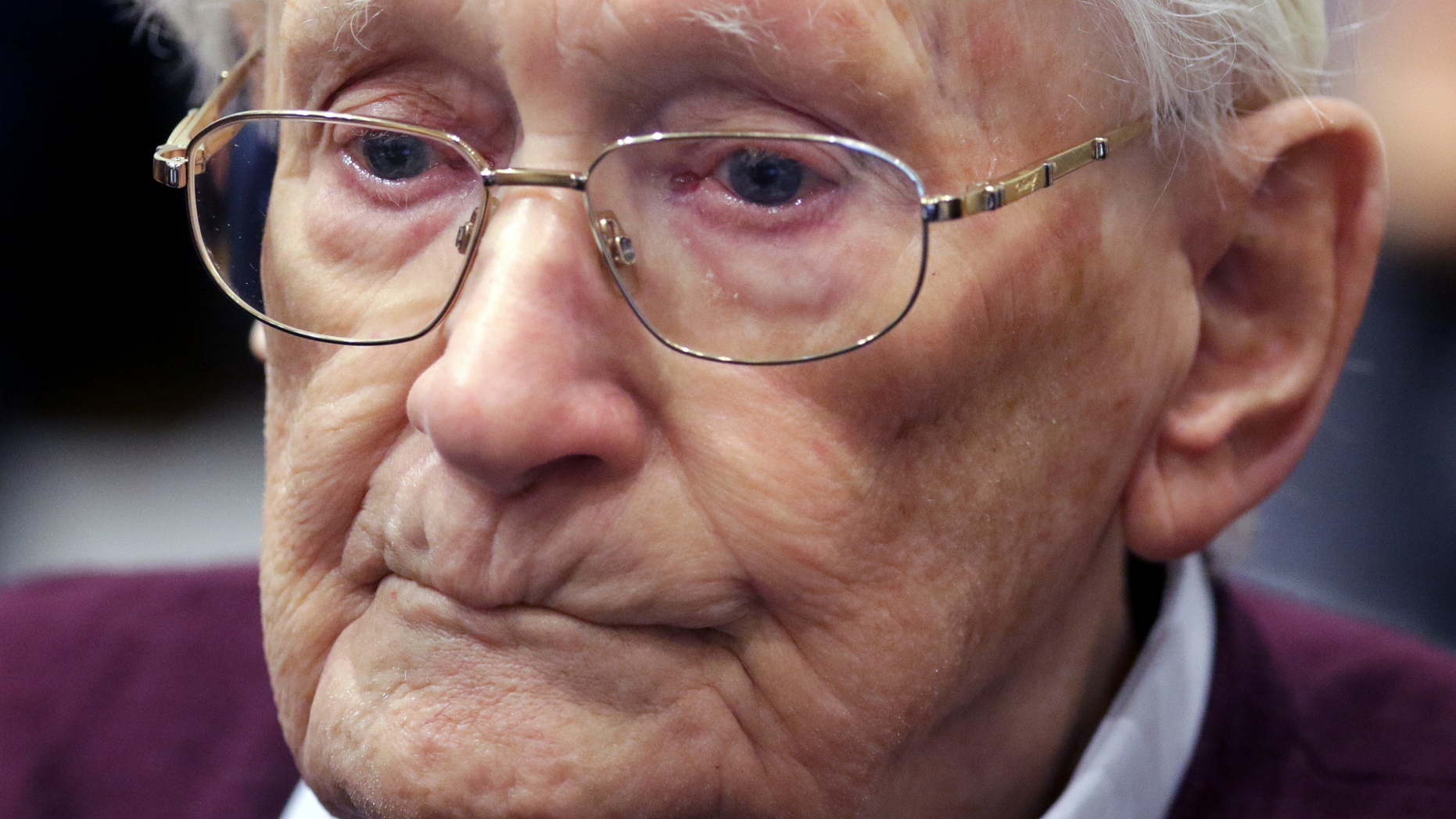 German prosecutors said SS sergeant Oskar Groening, 96, is fit to go to prison.