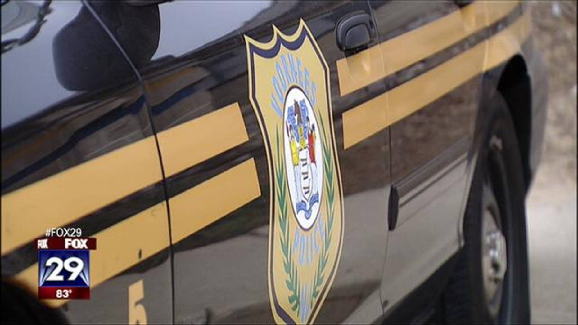 FILE: A police car for the Vorhees Police Department is show.