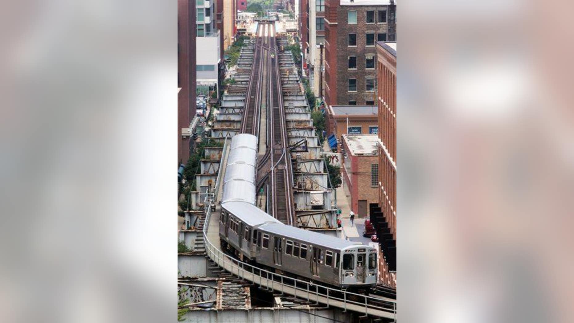 A Brown line L train is shown in this file photo.