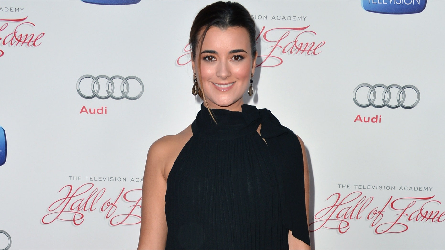 Cote de Pablo attends the Academy of Television Arts & Sciences' 22nd Annual Hall of Fame Induction Gala on March 11, 2013 in Beverly Hills, California.