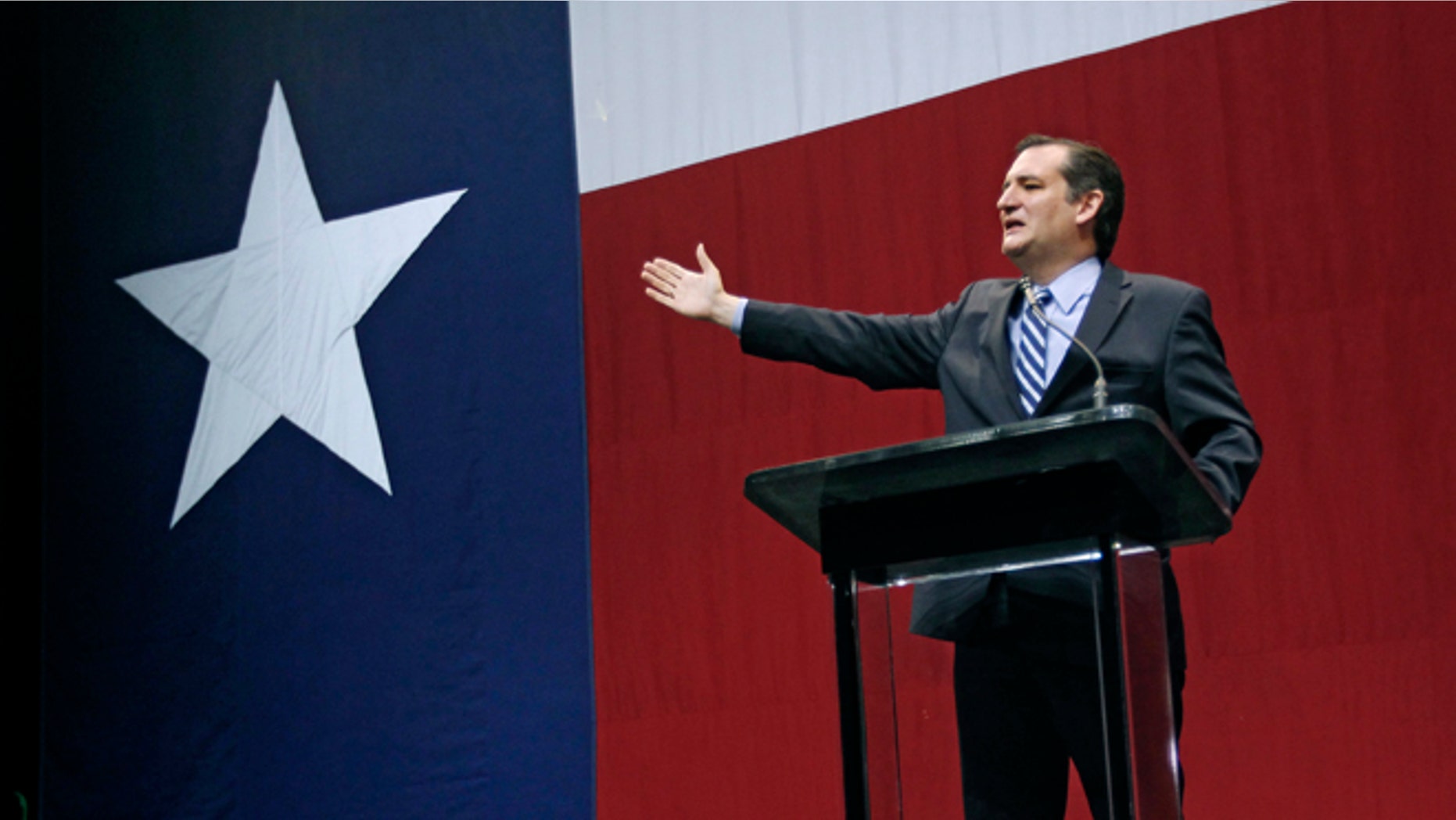 AUSTIN, TX - NOVEMBER 4: U.S. Sen. Ted Cruz (R-TX) speaks on stage during the victory party for Texas Governor-elect Greg Abbott on November 4, 2014 in Austin, Texas. Abbott defeated Democratic challenger Texas State Sen. Wendy Davis. (Photo by Erich Schlegel/Getty Images)