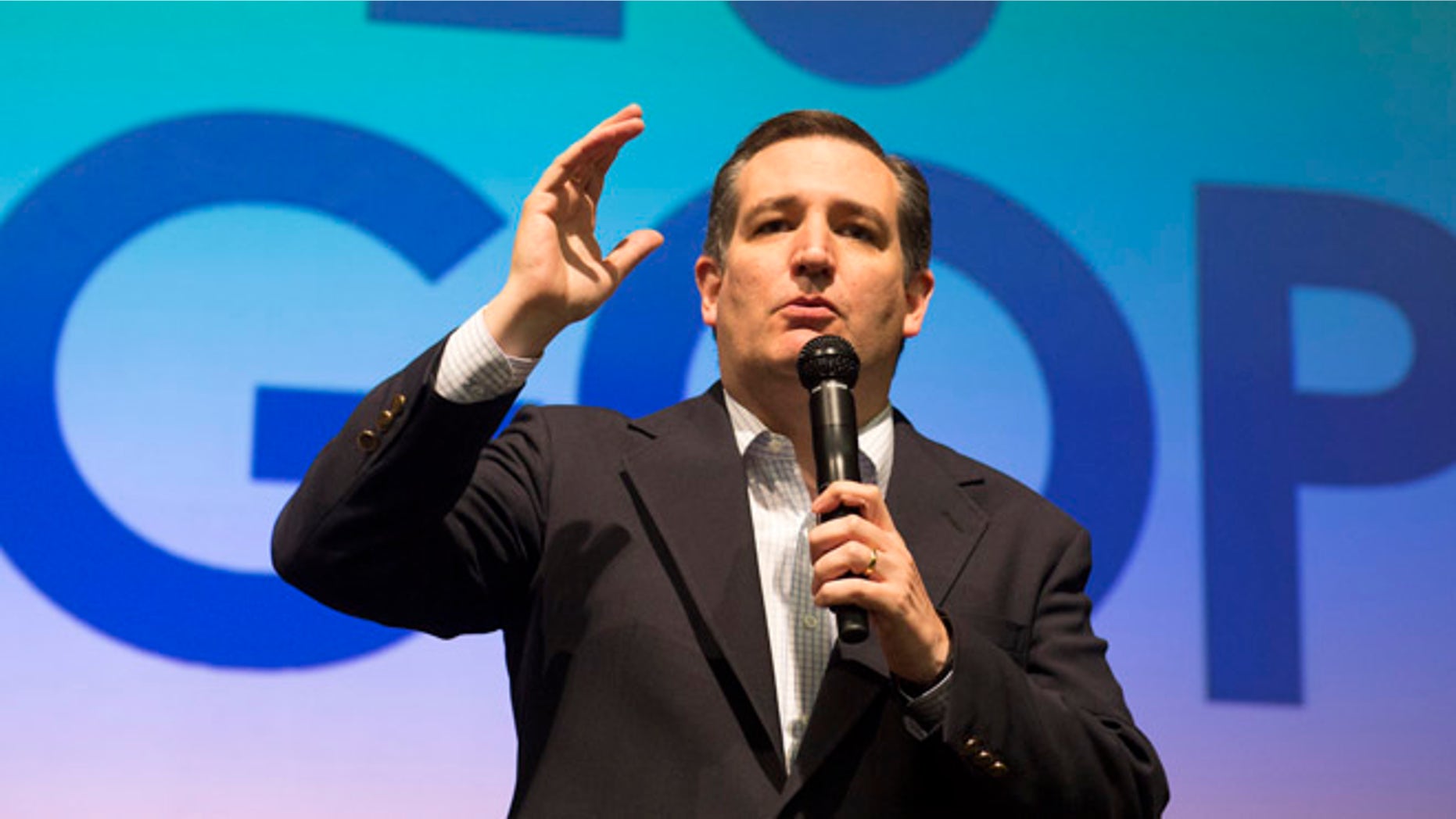 GOP candidate Ted Cruz makes a speech at a campaign rally on March 5, 2016 in Wichita, Kansas.