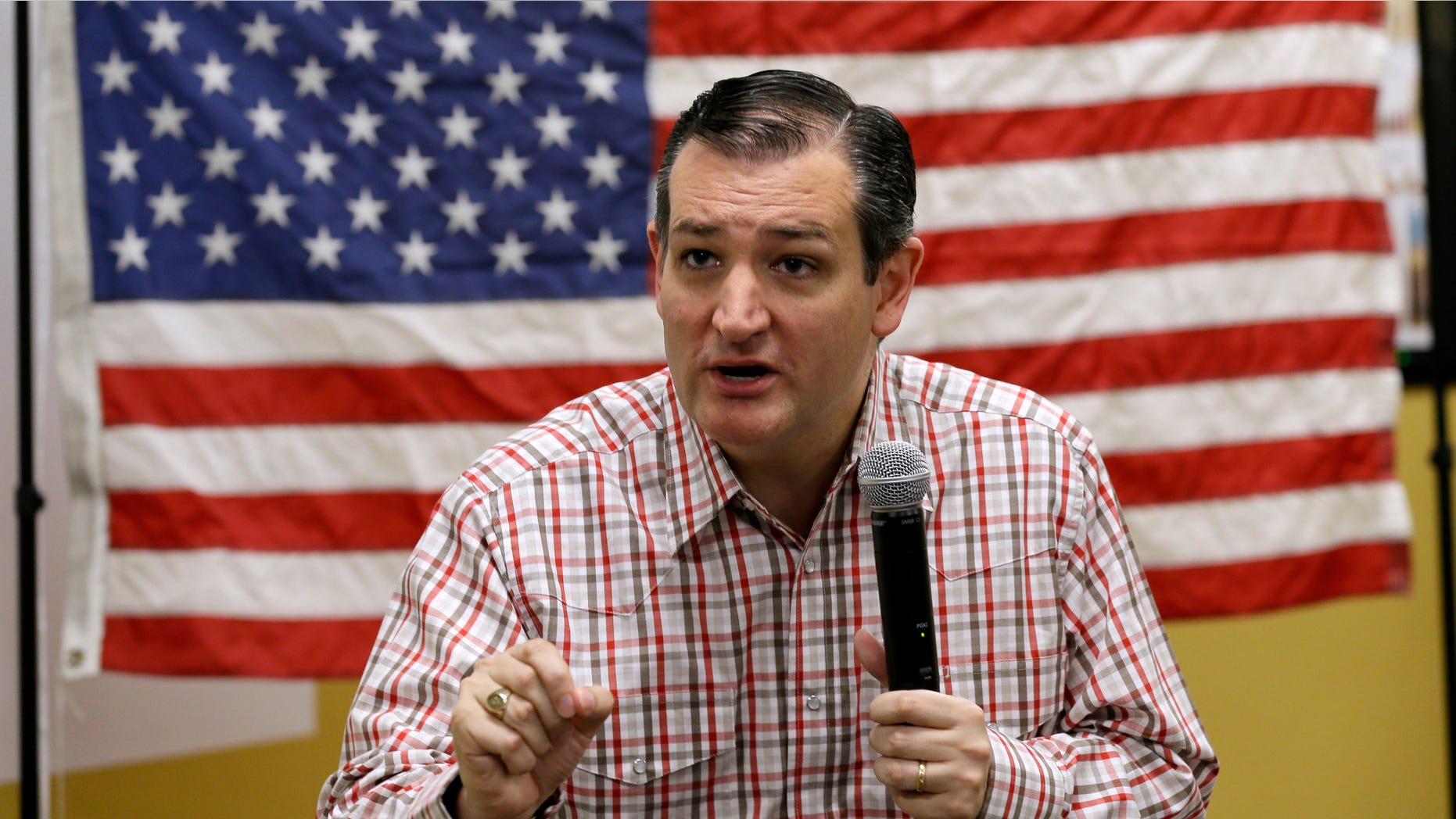 Republican presidential candidate, Sen. Ted Cruz, R-Texas, speaks during a "Celebrate the 2nd Amendment Event," Saturday, June 20, 2015, at the CrossRoads Shooting Sports in Johnston, Iowa. (AP Photo/Charlie Neibergall)