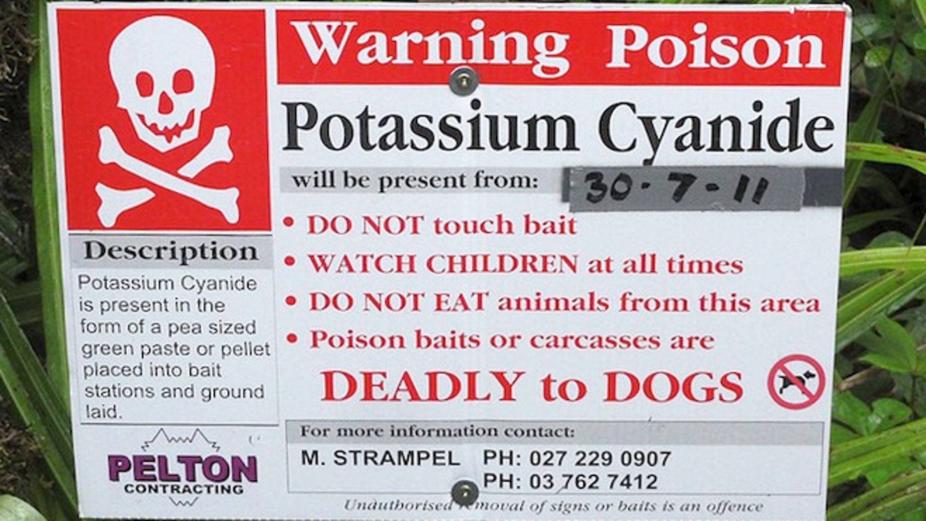 poison antidote