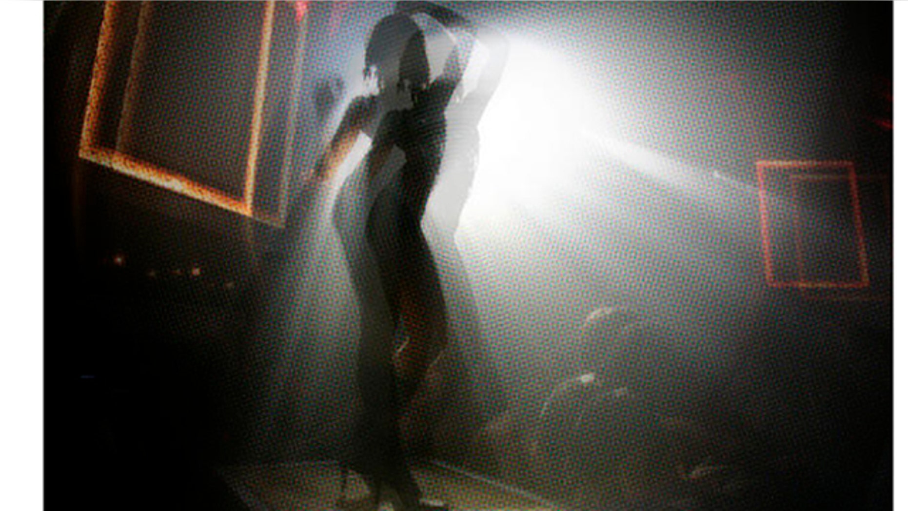 ** FOR IMMEDIATE RELEASE **A girl dances on a platform at the Mansion nightclub in Miami Beach, Fla., Nov. 10, 2006. (AP Photo/Lynne Sladky)
