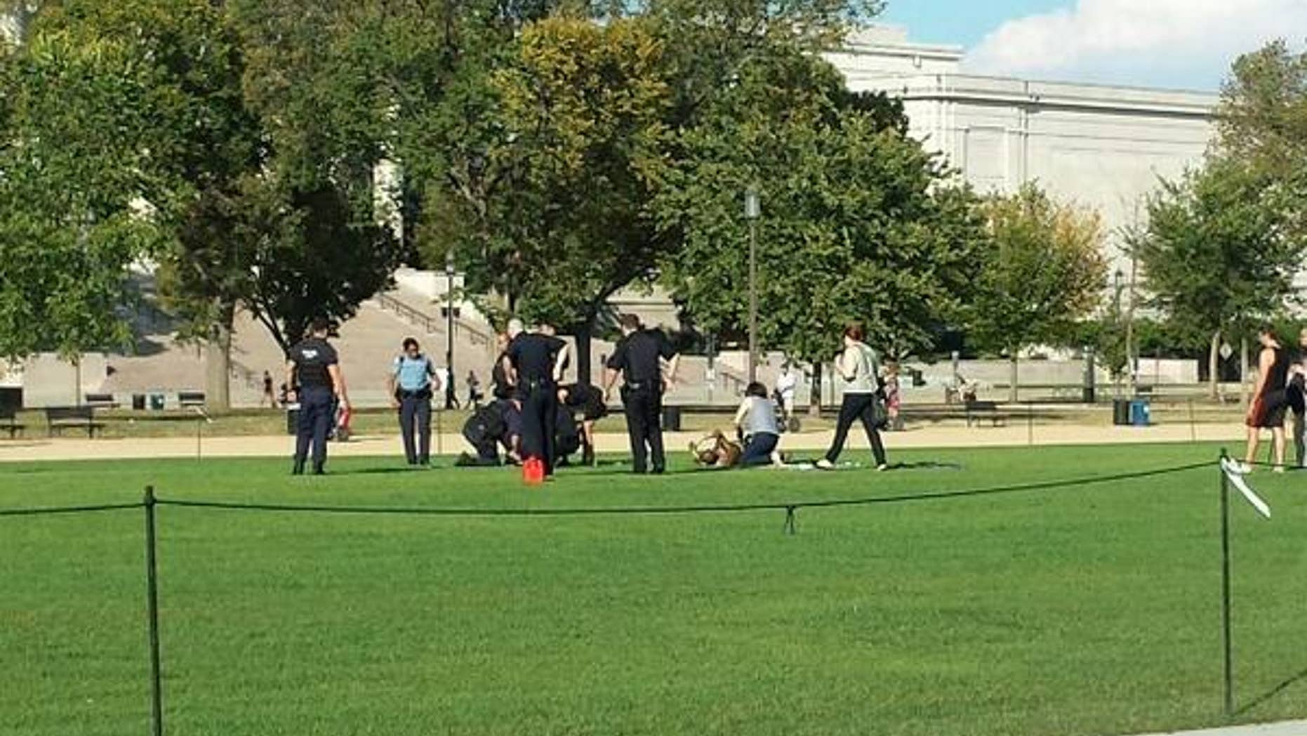 Oct. 4, 2013: Authorities respond to a man who reportedly set himself on fire on the National Mall.