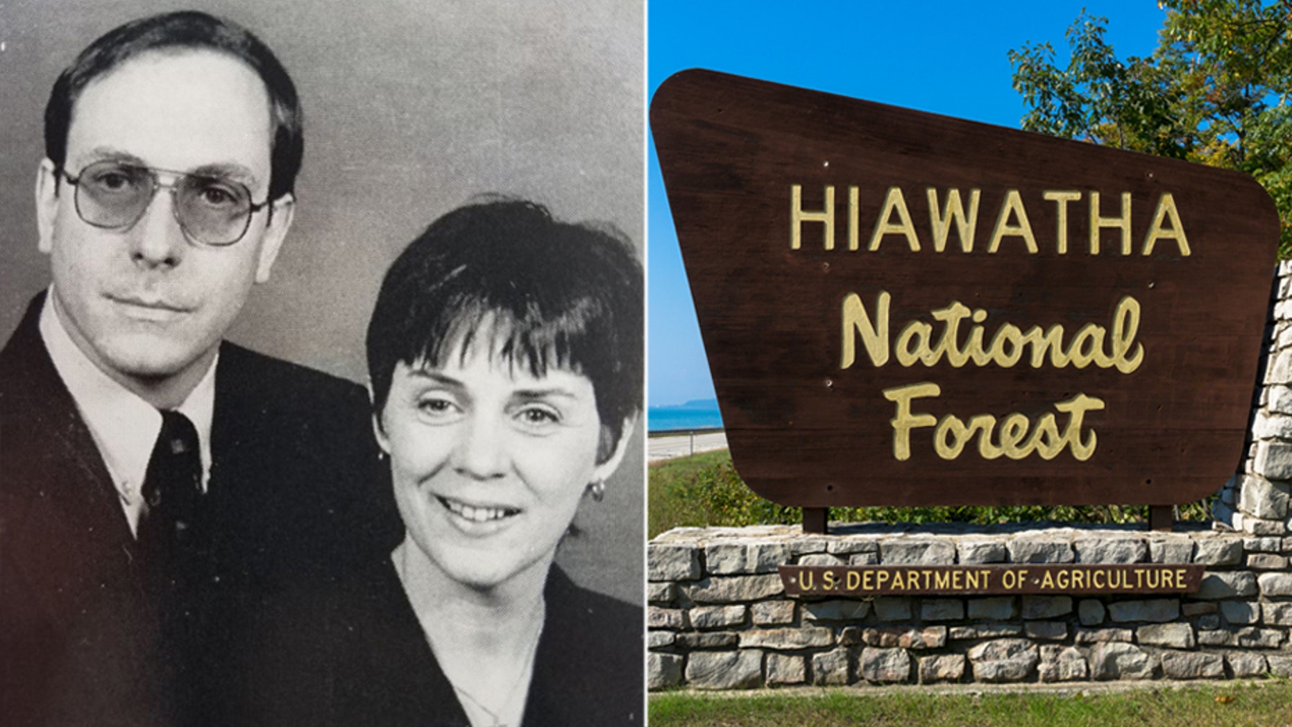 Mark and Janet Davies were in the small plane at the time of its disappearance in September 1997. Wreckage of a small plane with the same tail number as the aircraft the Davies owned was discovered Wednesday in the Hiawatha National Forest in St. Ignace, Mich.