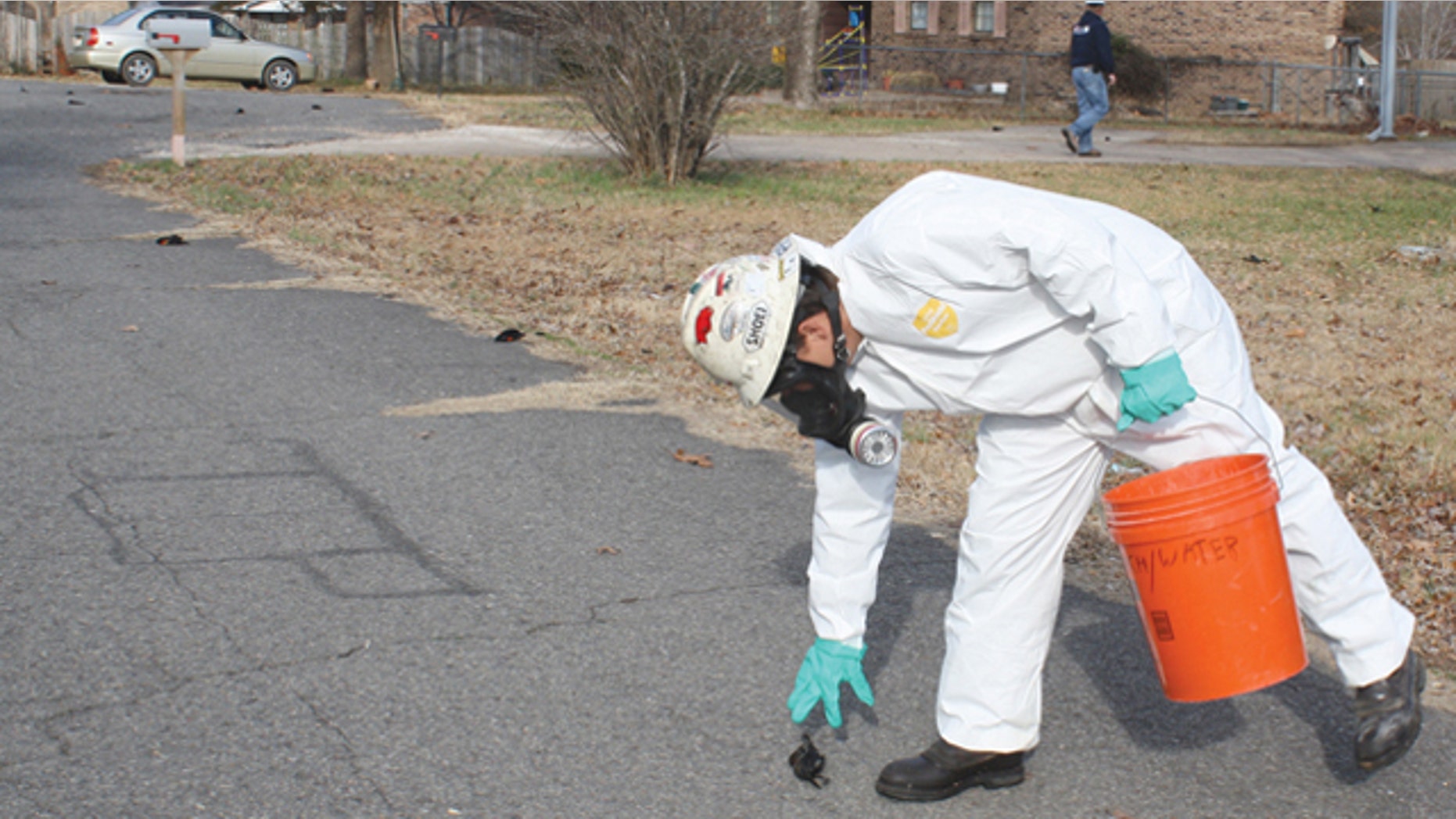Jan. 1: An Environmental Services worker picks up a dead bird in Beebe, Ark. as other dead birds line the street behind him.