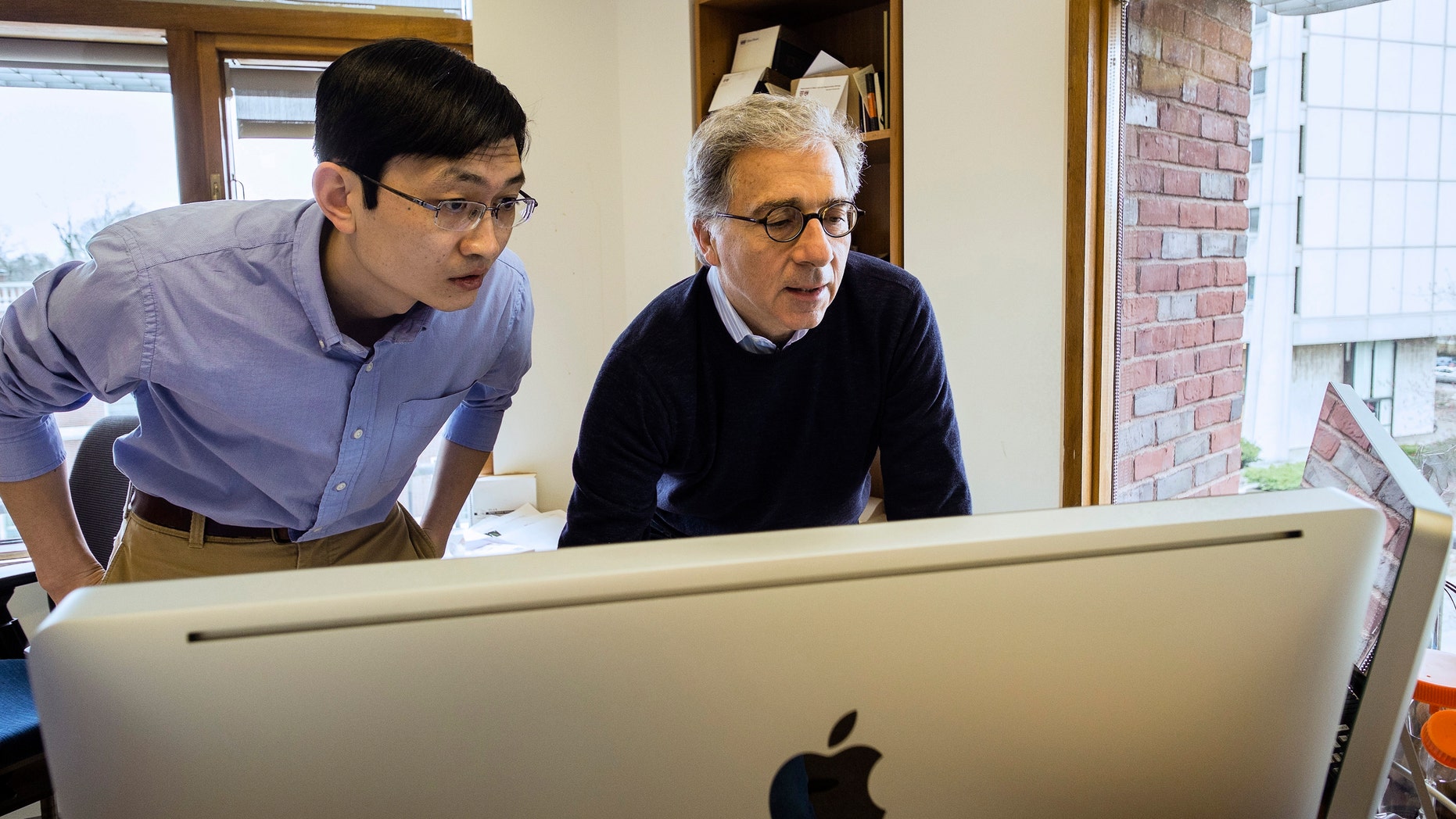 Harvard Stem Cell Institute Co-Director Doug Melton, right, and Peng Yi, a post doctoral fellow in his lab, review data from recent experiments in Melton's lab in Cambridge, Mass. Melton and Yi have identified a hormone that can sharply boost a mouse's supply of cells that make insulin, a discovery that may someday provide a diabetes treatment.