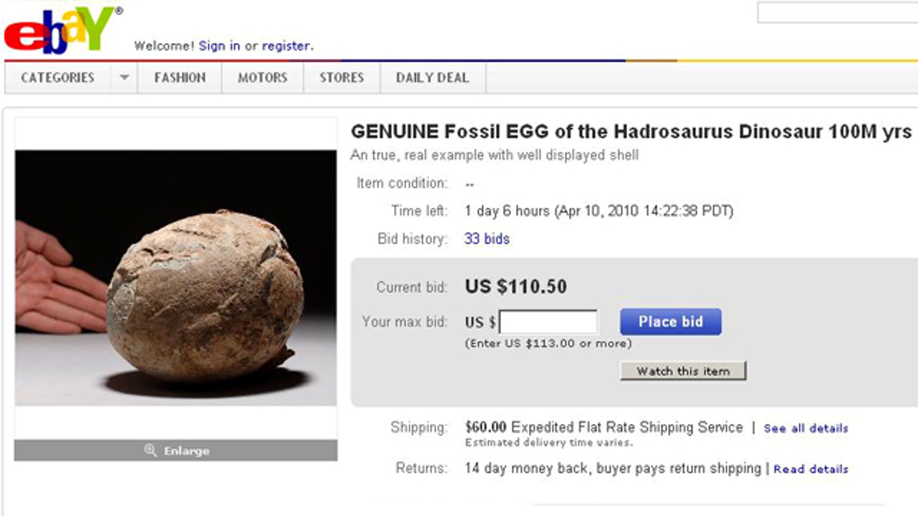 Fossils -- such as this Hadrosaurus egg on eBay -- are big business, and unfortunately can inspire theft.