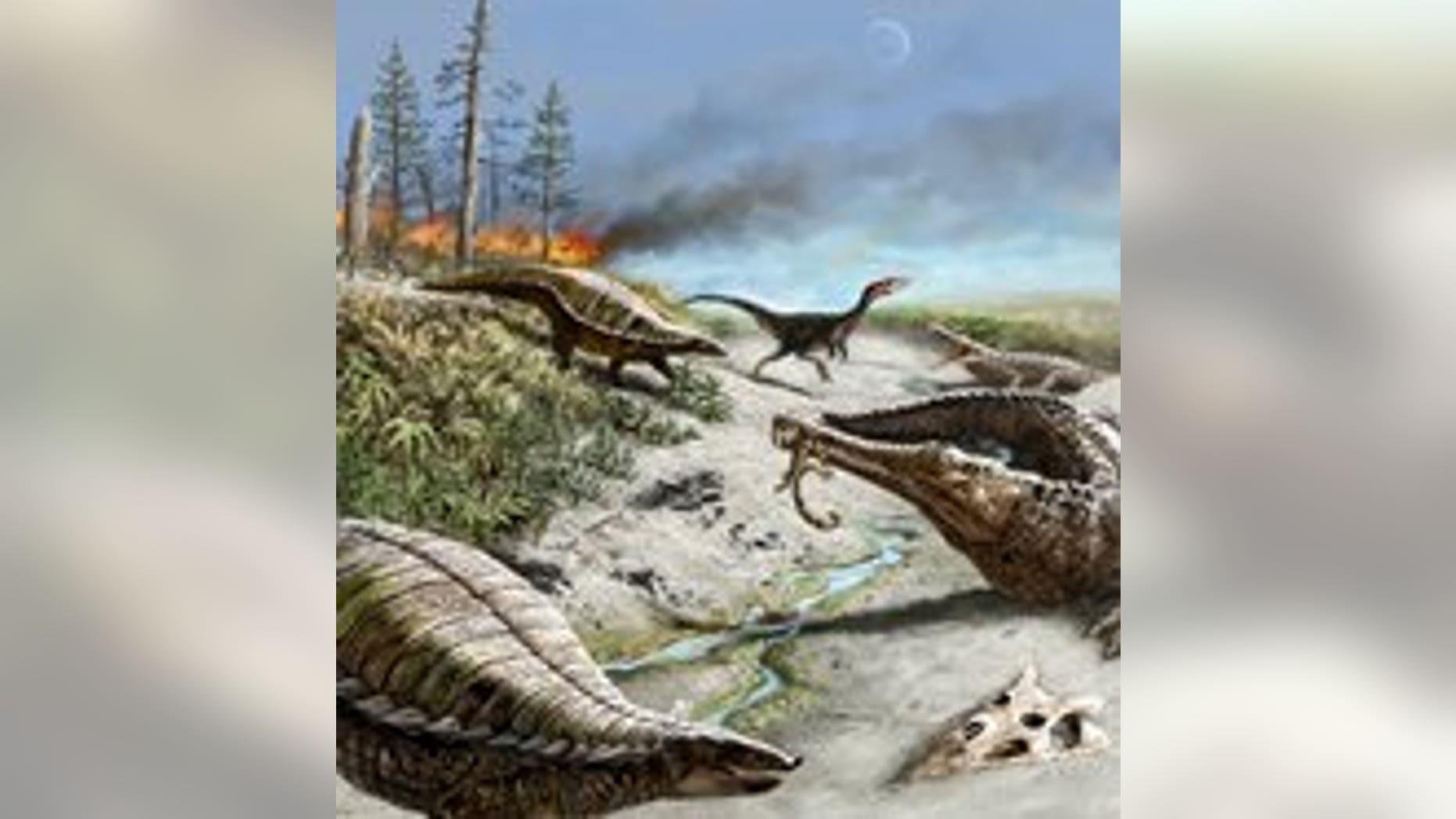 212 million years ago northern New Mexico was dry and hot with common wildfires. Early carnivorous dinosaurs were small and rare, whereas other reptiles were quite common.