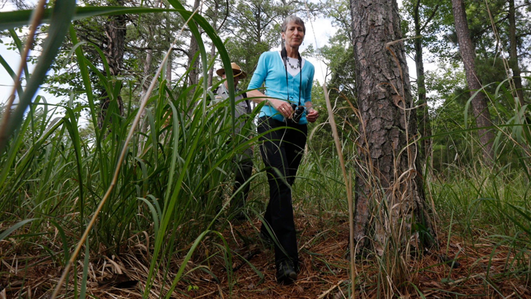 U.S. Interior Secretary Sally Jewell walks through the woods during a tour of Jamestown Island in Jamestown, Va., Thursday, June 5, 2014.