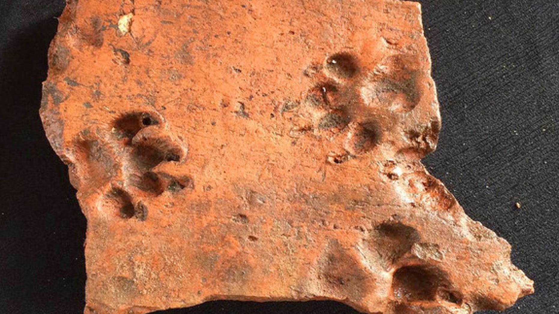 A dog pushed its paws into this ancient Roman tile before it could dry.