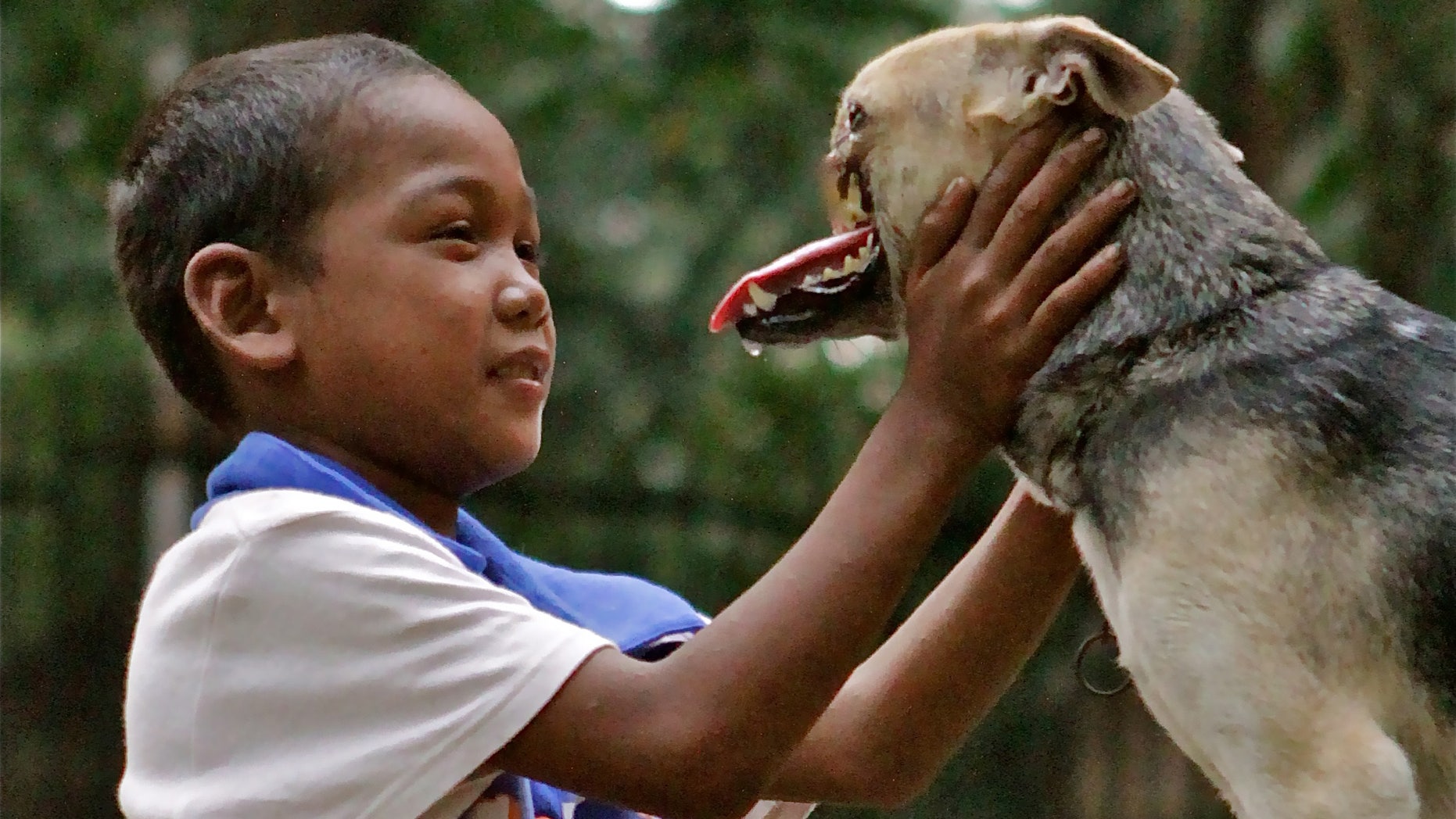 Aug. 12, 2012: In this photo provided by the University of California - Davis, a Bunggal family member plays with Kabang the dog in the Philippines.