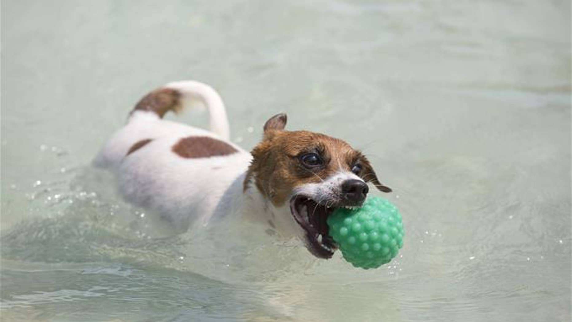 Forget the advice. Just get the ball.