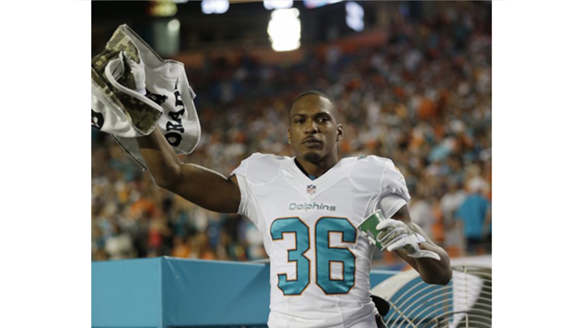 November 17, 2013: Miami Dolphins strong safety Don Jones cheers on his team during the second half of an NFL football game against the San Diego Chargers. (AP)