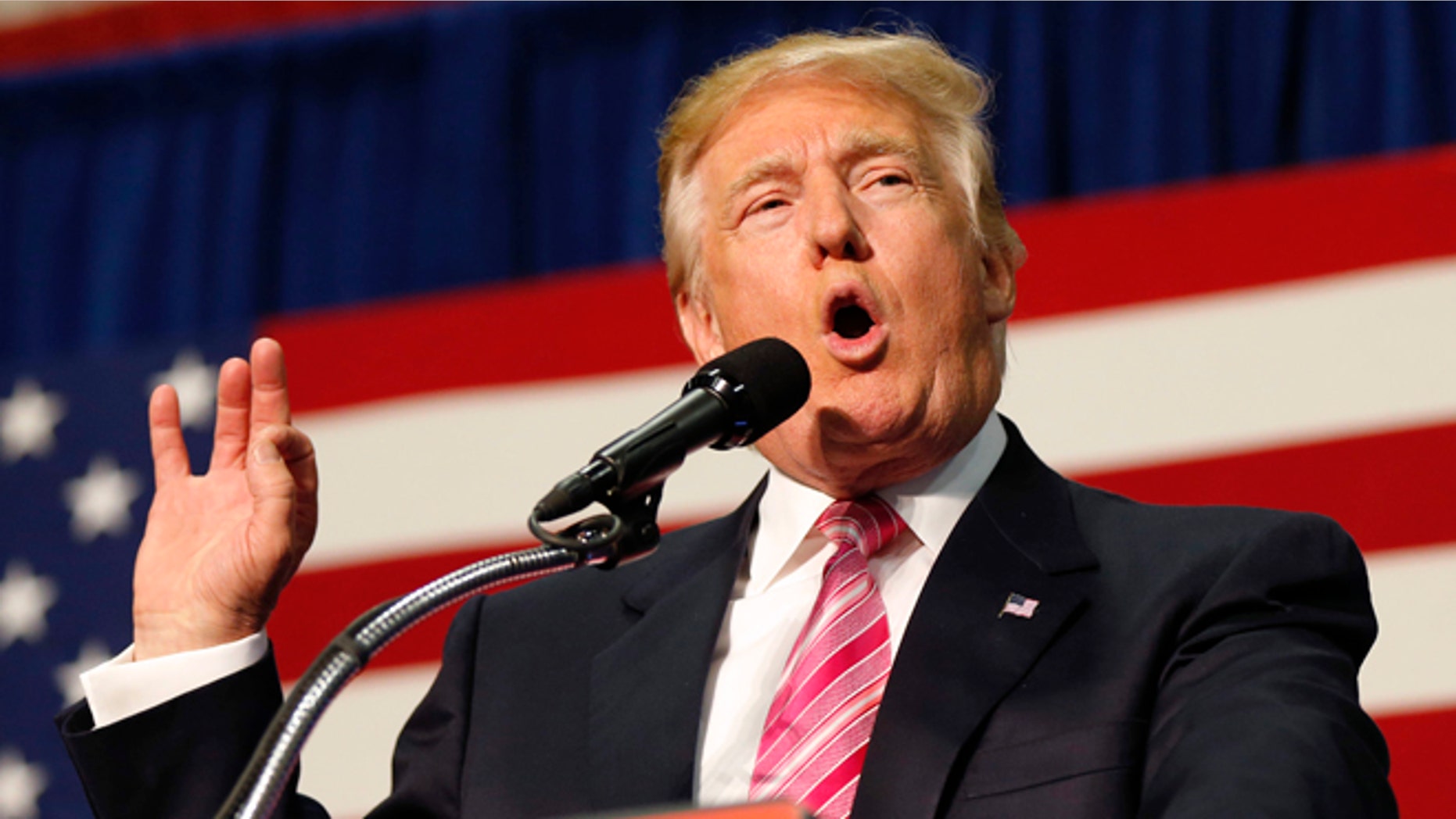 In this Aug. 20, 2016 file photo, then Republican presidential candidate Donald Trump speaks at a campaign rally in Fredericksburg, Va.. (AP Photo/Gerald Herbert, File)