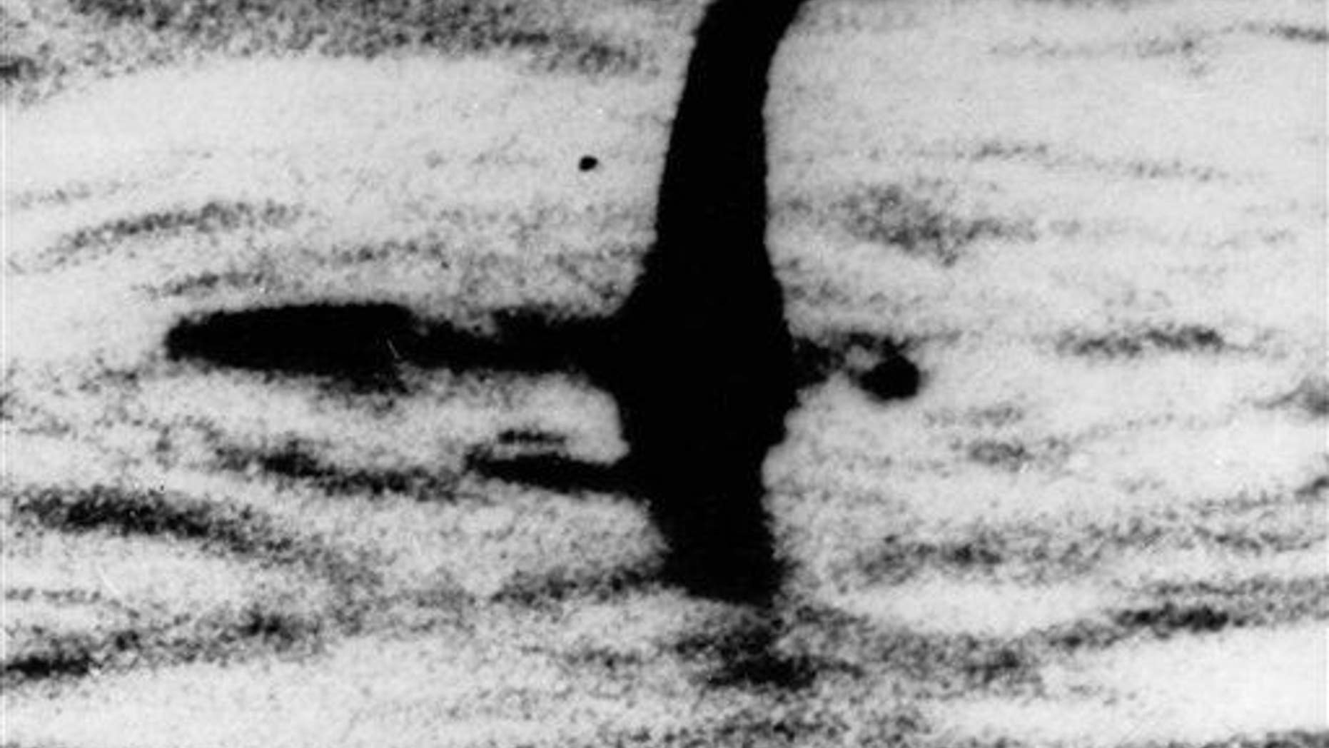 Beware the drone, Nessie.
