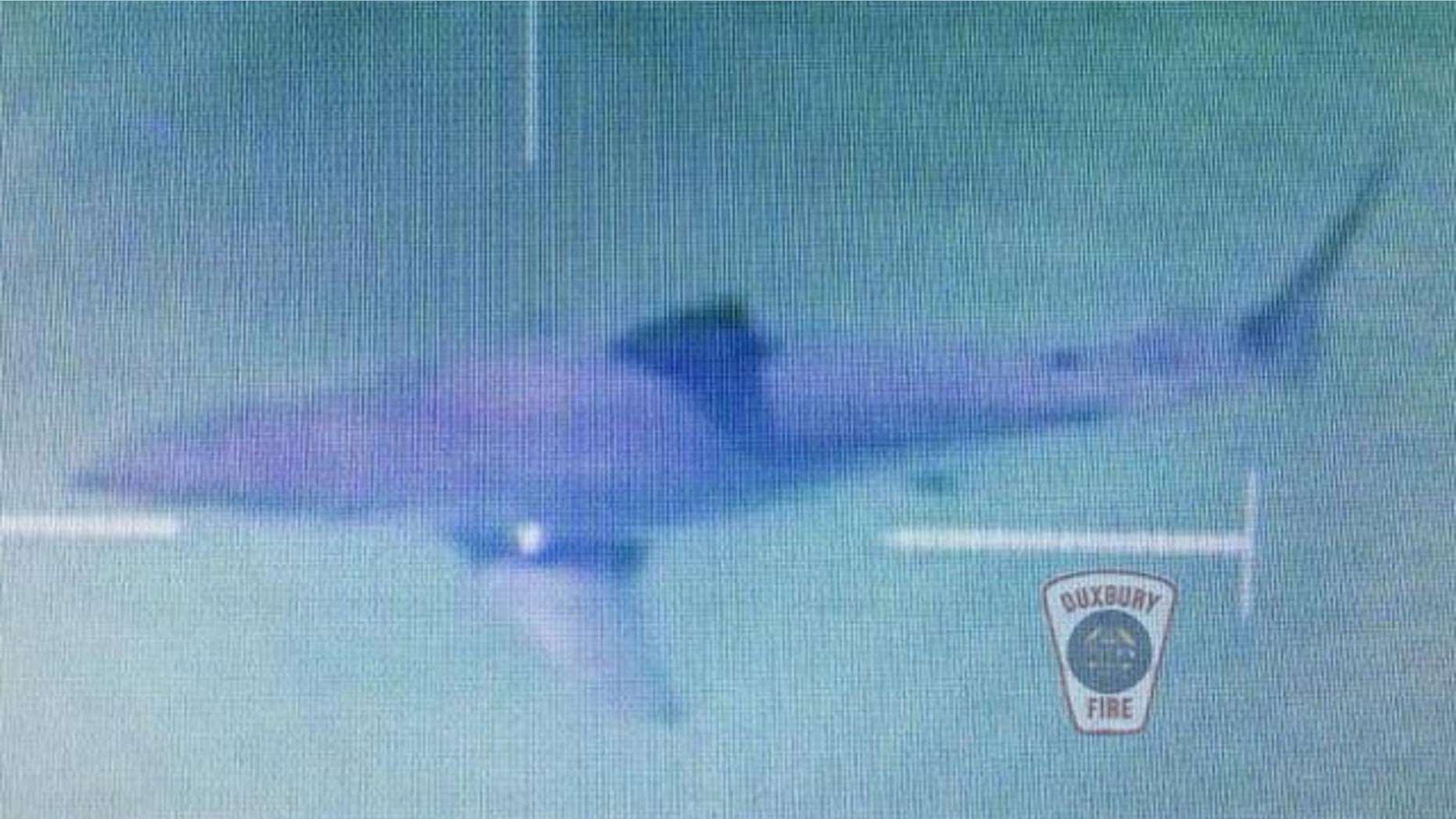 Great white shark sighting forces temporary closure of Massachusetts