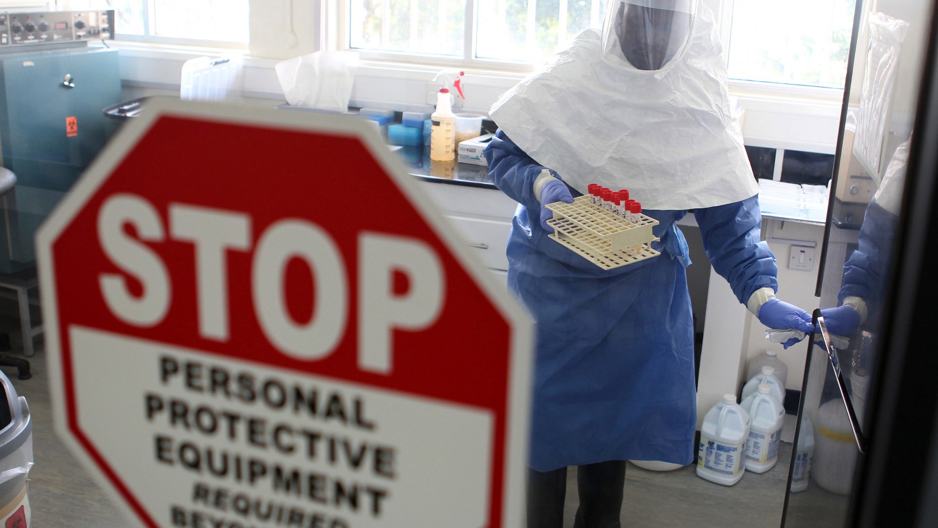 A doctor works in a laboratory on collected samples of the Ebola virus at the Centre for Disease Control in Entebbe, about 37 km (23 miles) southwest of Uganda's capital Kampala. (REUTERS/Edward Echwalu)