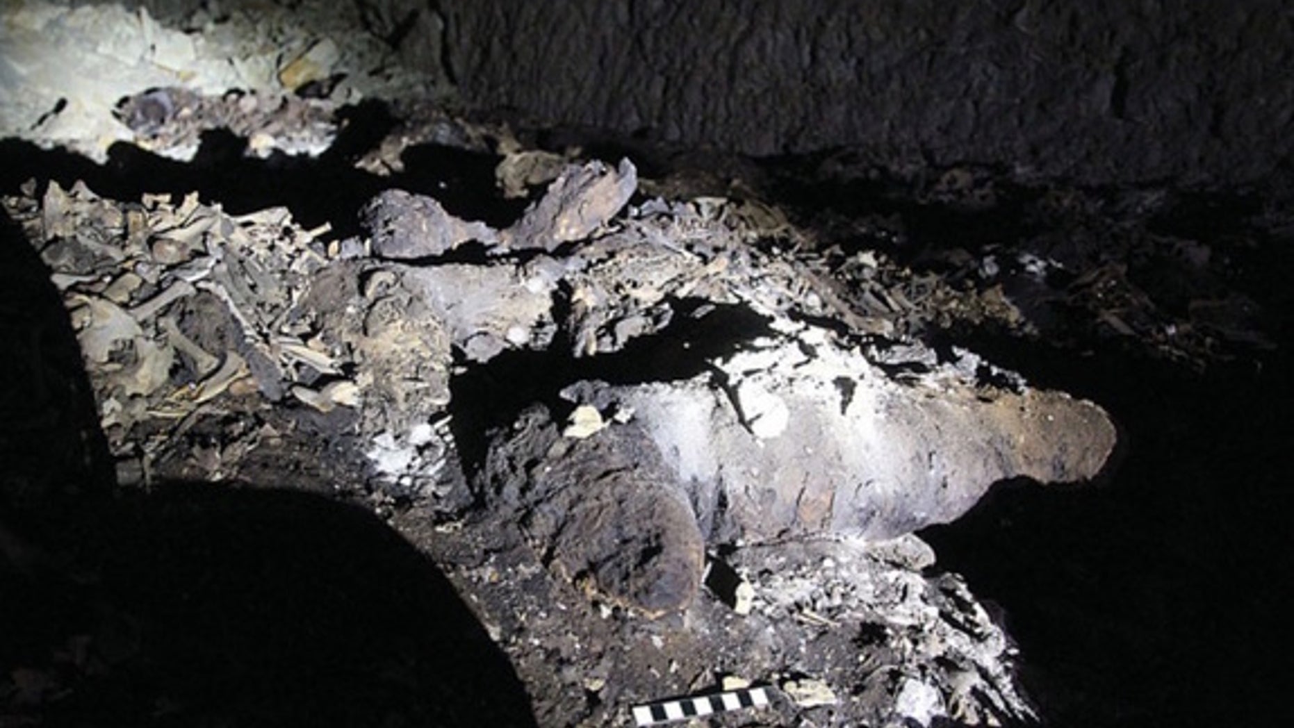 The ancient remains of a complete canine mummy in an undisturbed section of the catacomb.