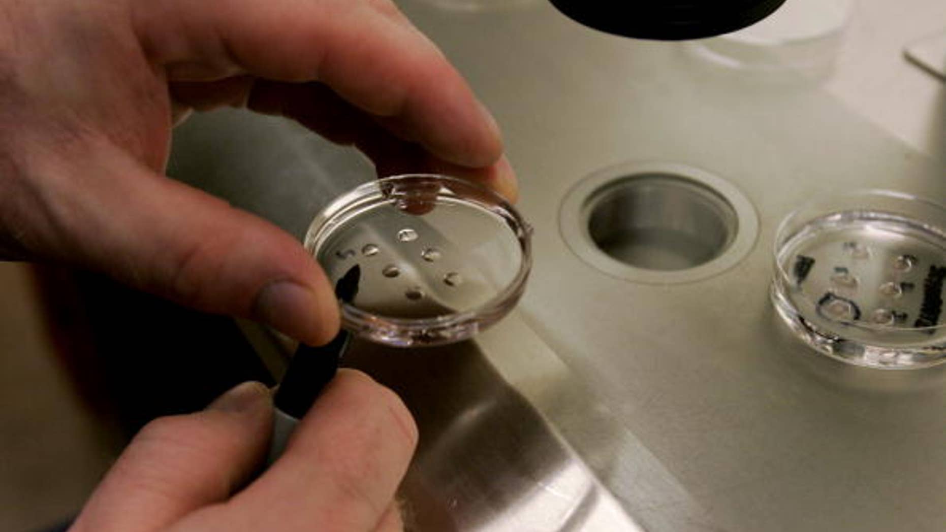 An embryologist holds a dish with human embryos at a clinic.