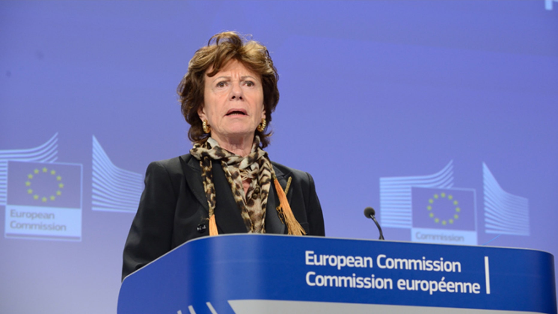 Feb. 12, 2014: Neelie Kroes, vice-president of digital agenda for the European Commission, speaks at a press conference on Internet Governance.