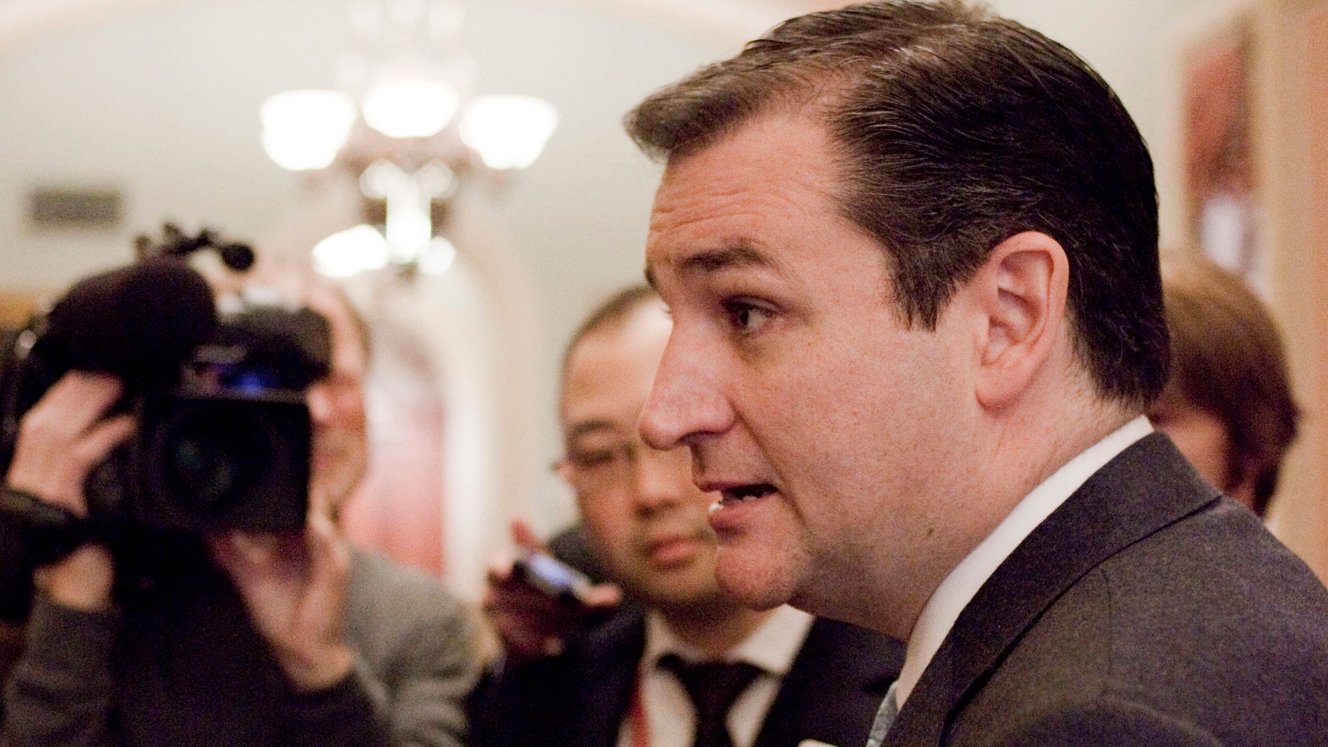 FILE - This Nov. 13, 2012 file photo shows Sen.-elect Ted Cruz, R-Texas speaking to reporters on Capitol Hill in Washington. (AP Photo/Harry Hamburg, File)