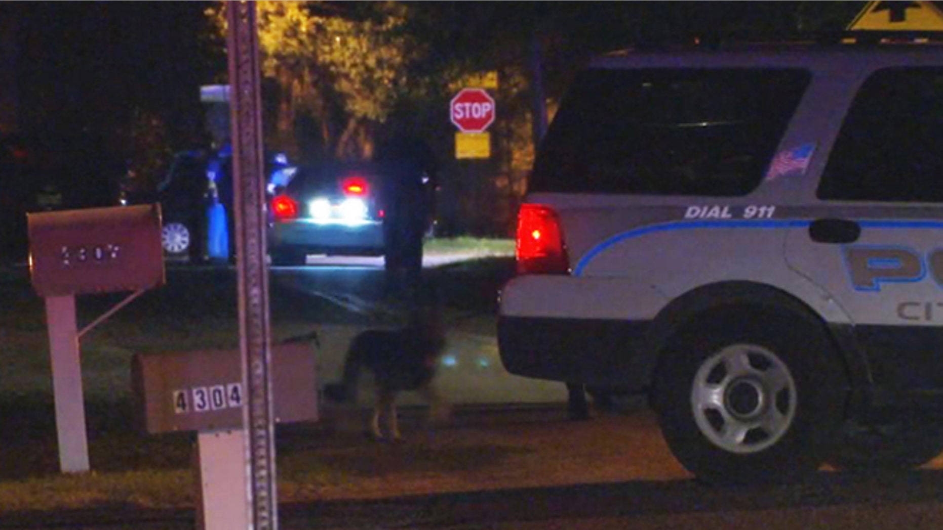 A suspected car thief allegedly tried to drown a police dog and scuffled with an officer before he was shot, cops said.