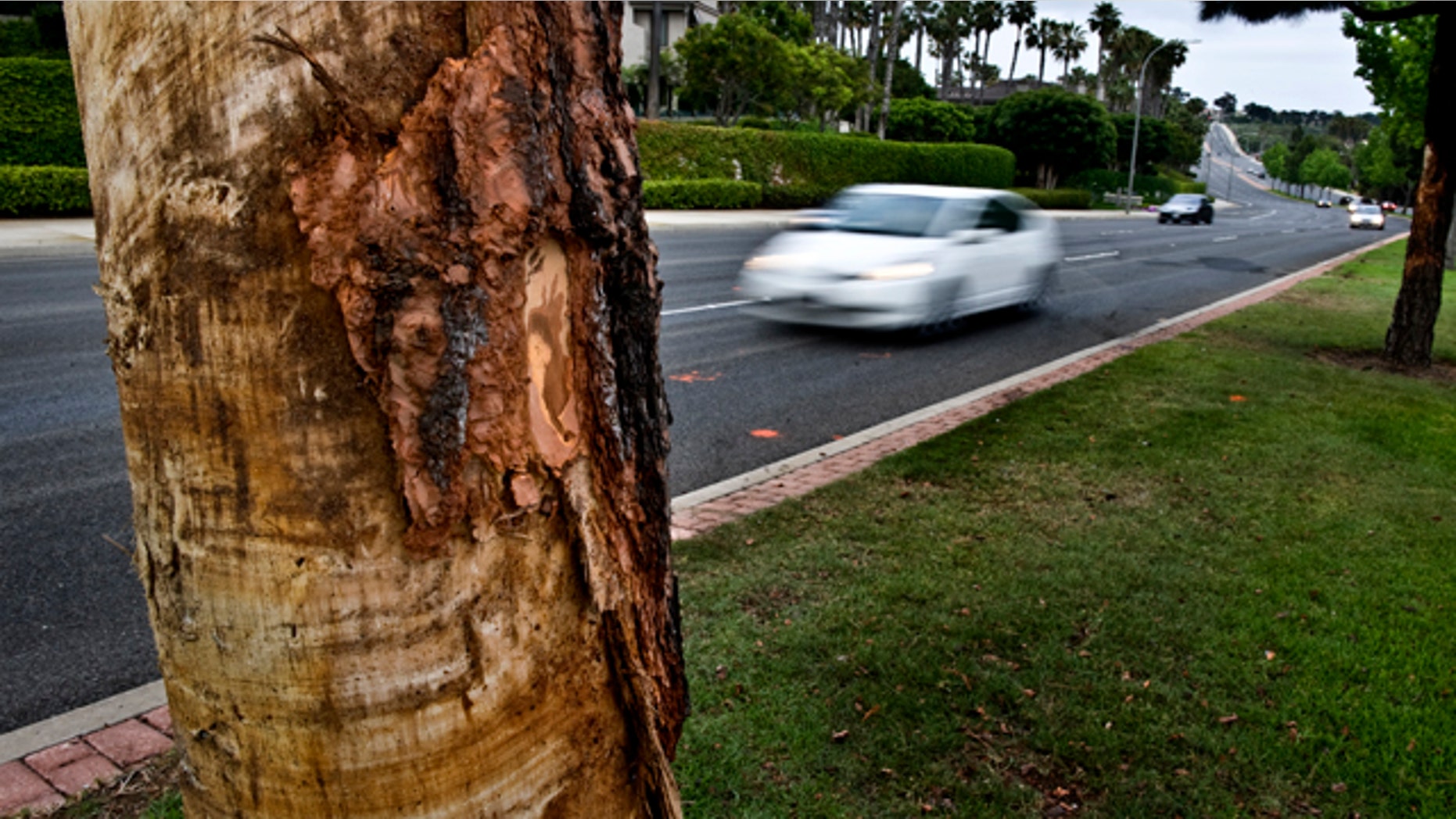 May 28, 2013: Cars drive past the scene of a Monday fiery car crash that killed five.
