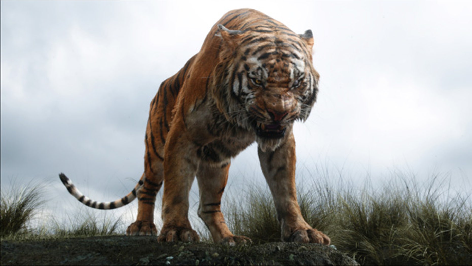 In this image released by Disney, Shere Khan the tiger, voiced by Idris Elba, appears in a scene from 'The Jungle Book.' (Disney via AP)