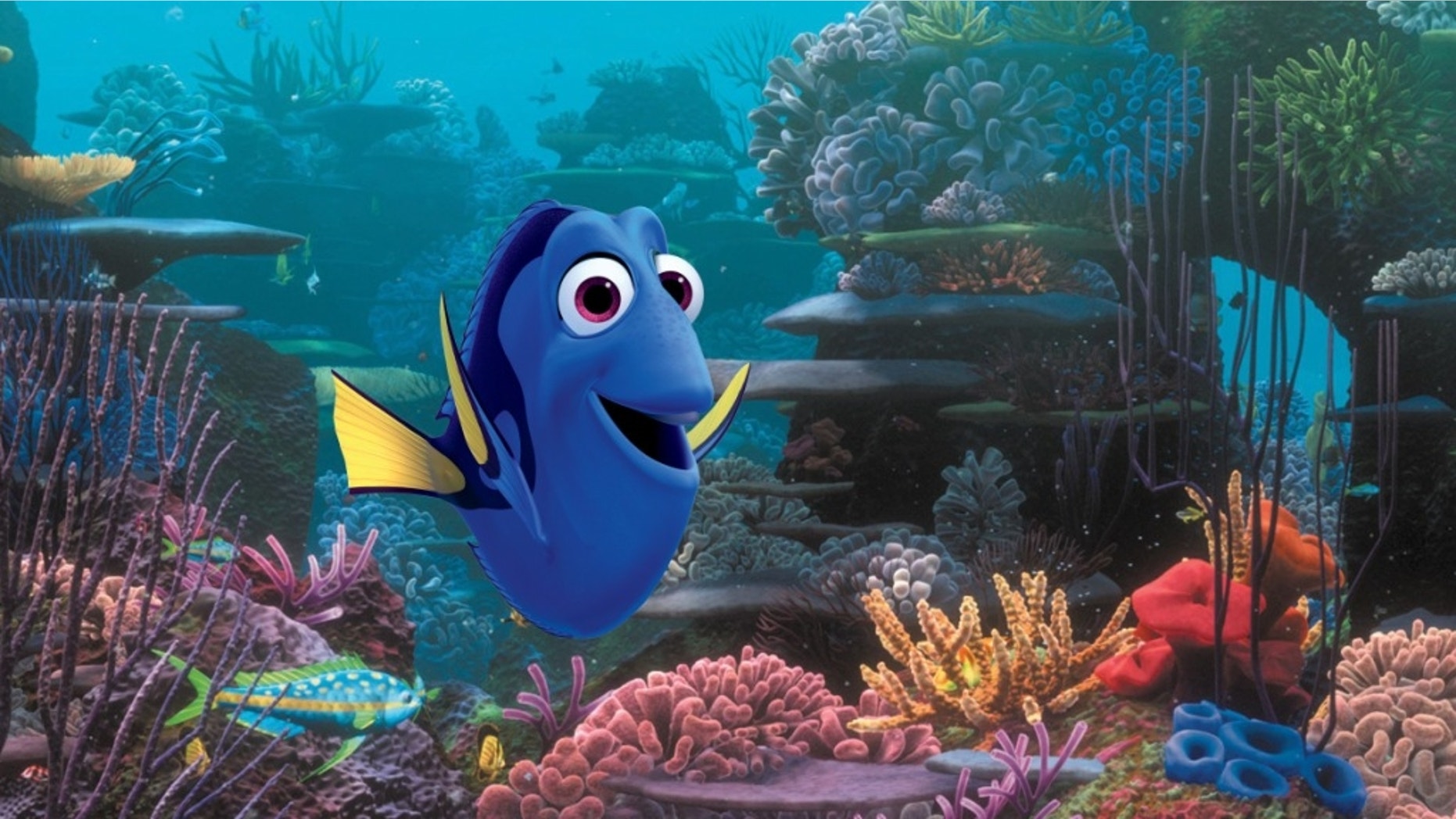 Bilder Dory Findet Nemo