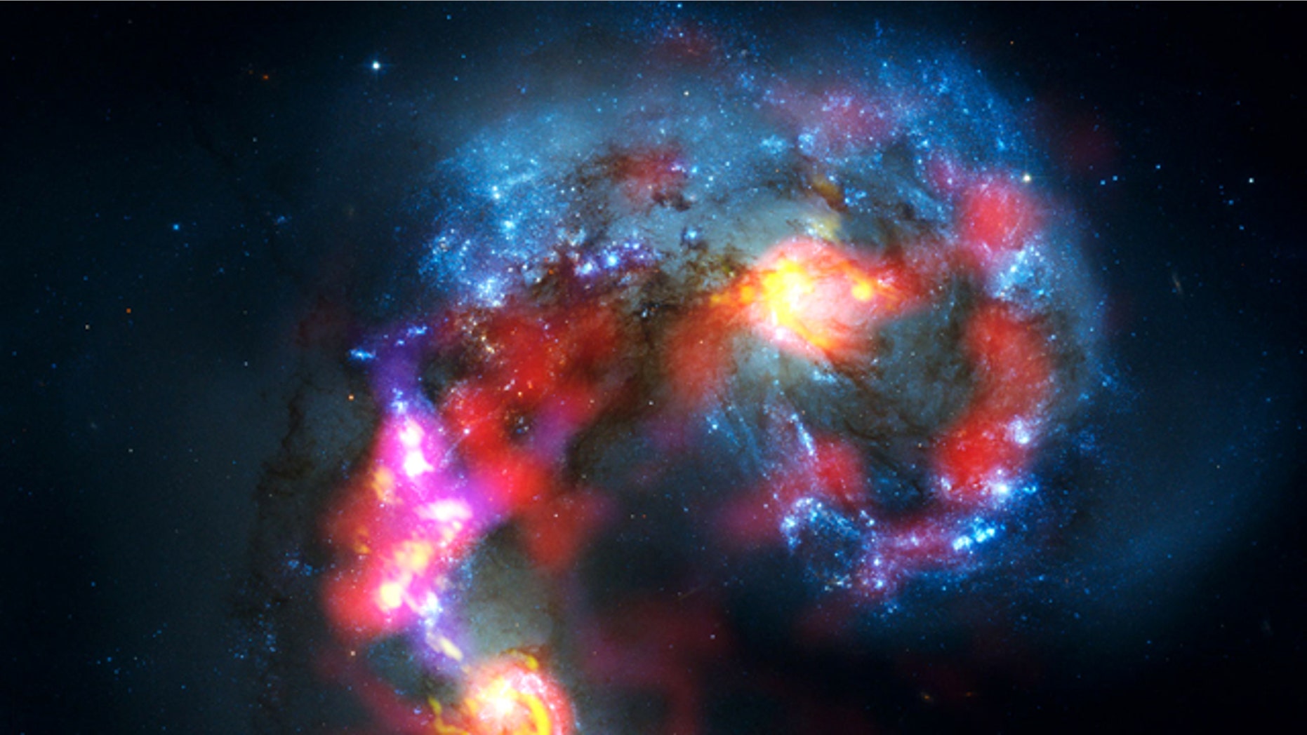A combined view of the Antennae Galaxies, taken by the ALMA radio telescope array and the Hubble Space Telescope.